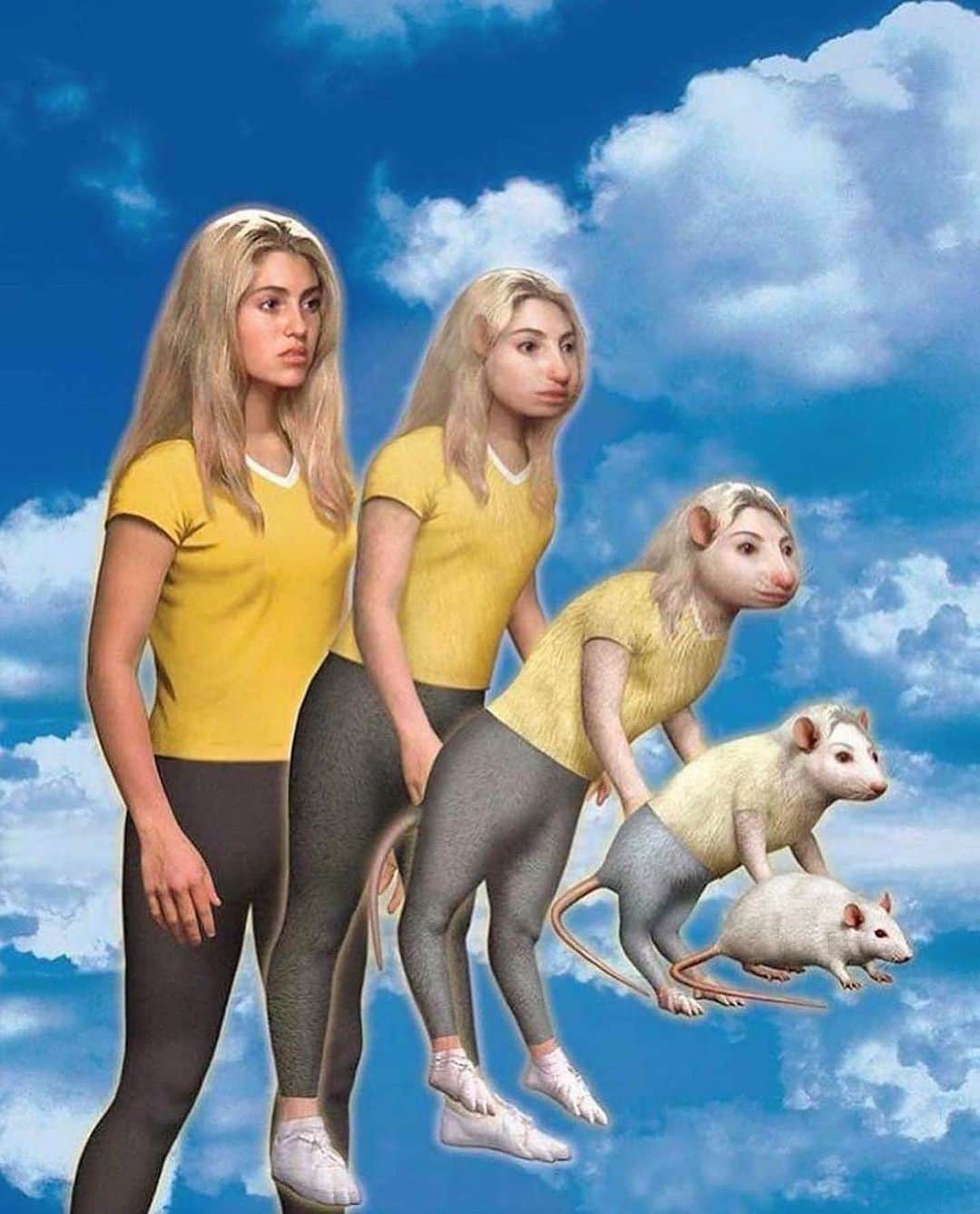 StreetArtGlobeのインスタグラム：「'Animorphs', the cover illustration for the Sci-fi children's book series which featured kids morphing into animals, June 1996-May 2001.   Do you remember these? 😳🤷🏽‍♂️  h/t @artneversleeps   Follow 👉@STREETARTGLOBE👈 for more!」