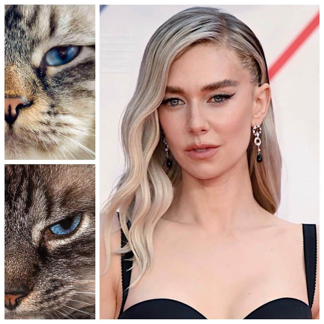 JO BAKERのインスタグラム：「V A N E S S A • K I R B Y 🇬🇧 Viscous kitty liner… on #vanessakirby  Inspired by those cats that are unpredictable and also gorgeous 🤣 Nothing like a single sharp line to bring out your inner feline.  Style @karlawelchstylist @dolcegabbana  Hair @hairbyadir @virtuelabs  Makeup by me #jobakermakeupartist using a bunch of stuff plus @bakeupbeauty #defineme liner …swipe to see beauty heros!!  #makeupoftheday #makeup #makeupartist #makeupaddict #makeupideas #makeuptutorial #eyeliner #cateyes #bakeupnotmakeup」