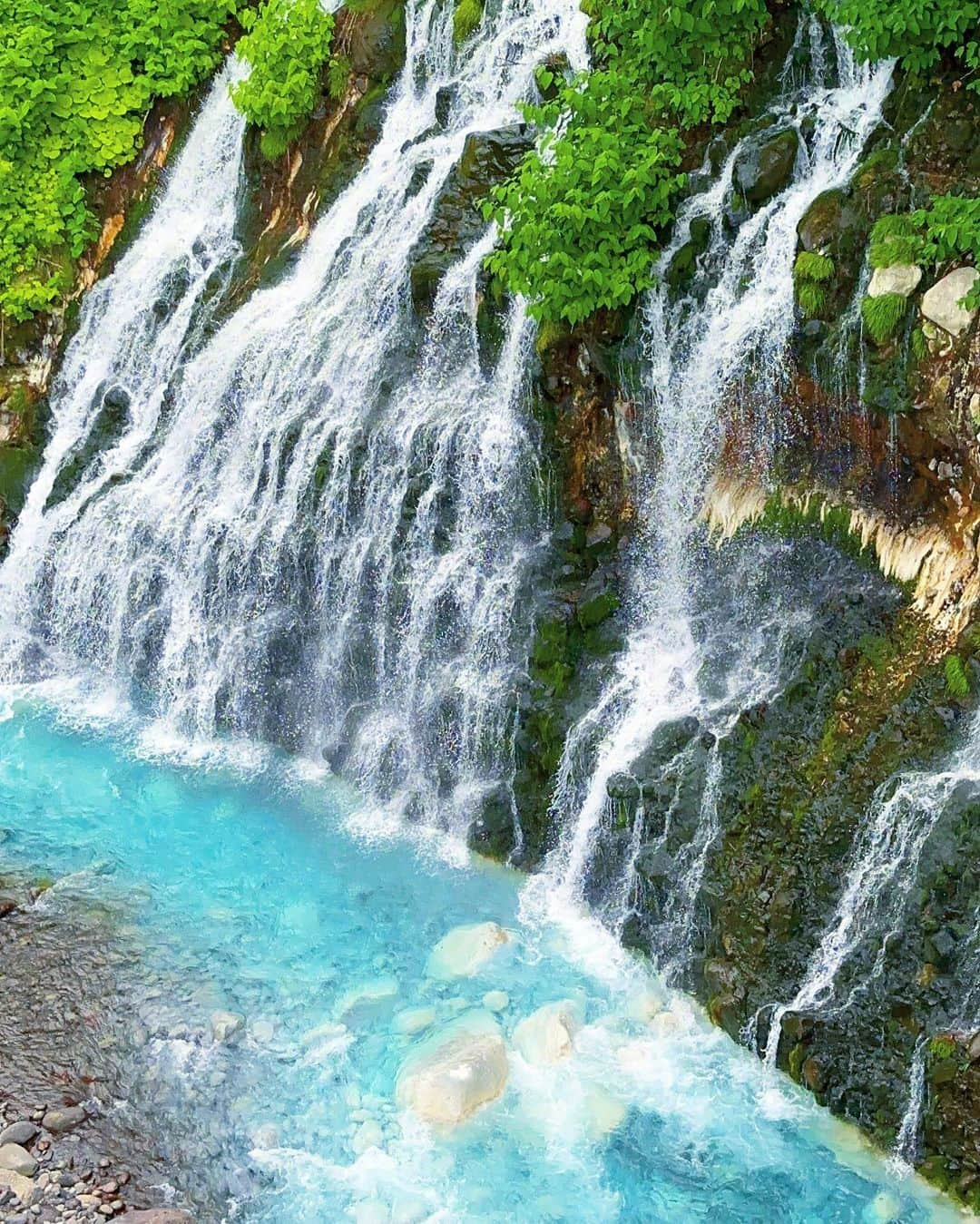 高嶋りえ子のインスタグラム：「📷私が撮影しています✈️今週は北海道🌼🐄今月は岡山、福岡、佐賀、熊本、宮崎へ行きました✈️🏝来週からおパリでお買い物✈️Paris🎉高嶋化粧品&高嶋オリジナルスカート&フレンチアパレル販売中  ✏️知らない非公開アカウントは全てブロックしています。  🌺 🌺✈️shopping &travel to Paris&London &JAPAN🌸kyoto→Tokyo→Paris→London→SAGA✈️⛩🥰🌸🏝☀️高嶋パリ支局開設🎉✨パリ・ベルギー・モナコ・オーストリアでお買い物 Thank you for watching. I will introduce my favorite Japanese food and the beautiful scenery of Japan, the kimono. Thank you for following me.  🎉✨【blog】アメブロhttps://ameblo.jp/ginzatakashima1/ 🎉✨【contact】問い合わせcosme@💠#着物女子  💠#きもの ginzatakashima.co.jp 🎉✨【shop】高嶋化粧品https://ginzamama.shop-pro.jp/ 🎉✨【Twitter】ツイッターhttps://twitter.com/ginzatakashima?ref_src=twsrc%5Egoogle%7Ctwcamp%5Eserp%7Ctwgr%5Eauthor 🎉✨【YouTube】ユーチューブhttps://youtube.com/channel/UCz2I6_nWCHcr7YlkkFyJWwg  会員様以外のご質問には何一つお答えする気がございません 悪質な名誉毀損・営業妨害・肖像権侵害は全て弁護士にお任せしています。  💠#北海道旅行  💠#美瑛  💠#インザループ  💠#ピコタンロック  💠#北海道ソフトクリーム  💠#travelphotography  💠#ツヤ肌メイク  💠#nanakaの花畑  💠#エルメス 💠#大谷翔平 選手を応援📣 💠#HERMES 💠#japantravel  💠#japantrip  💠#富良野  💠#銀座のママ  💠#銀座ママ  💠#着物ヘア  💠#ラベンダー畑  💠#ファーム富田 💠#japanesefood  💠#japantravel  💠#japan_of_insta  💠#銀座ホステス  ✨✨✨✨✨✨ ✨✨✨✨✨ 商標侵害を発見された方は、下記のメールにてご連絡下さい👩‍🏫  ⚠️DM・コメント・勧誘・営業電話お断り ⚠️電話はお断りします。会話内容は全て自動録音 ⚠️現在、ホステスの募集はしておりません ⚠️銀座高嶋は同業者ご来店お断り ✨高嶋化粧品は私が開発した銀座りえ子ママEXホワイトモイスチュアー成分入り#louisvuitton  #美肌　#ootanisyouhei 詳しくはブロ🐶❤️👩‍🏫 #パワースポット巡り #大谷翔平 #birkin ✨👩‍🏫 銀座りえ子ママの美肌の秘密は高嶋化粧品✨#美しいキモノ  ワードプレスブログ https://ginzatakashima.net/ ・ ・ Management of cosmetics company and hostess bar 元失恋OLが3年で銀座のオーナーママ ✨Bar&Club高嶋🥂銀座4店都内10店舗経営 ✨詳しくはブログ『銀座ママ』でgoogle検索 📝アメブロhttps://ameblo.jp/ginzatakashima1 ・ ・ ✨銀座りえ子ママの美肌&ダイエットの秘密詳しくは ✨銀座のママが作った高嶋化粧品 🎀https://ginzamama.shop-pro.jp/ ・ ・ ⭐️取材・講演会・高嶋化粧品購入者はご入金後⭐️ 🎀cosme@ginzatakashima.co.jp 銀座クラブ&バー高嶋は完全会員制  一見さんお断り」