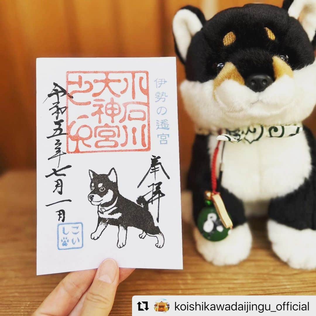 津久井智子のインスタグラム：「7月のコイシちゃん😊 天草から彫って送りました◎ もらいに来てね！」