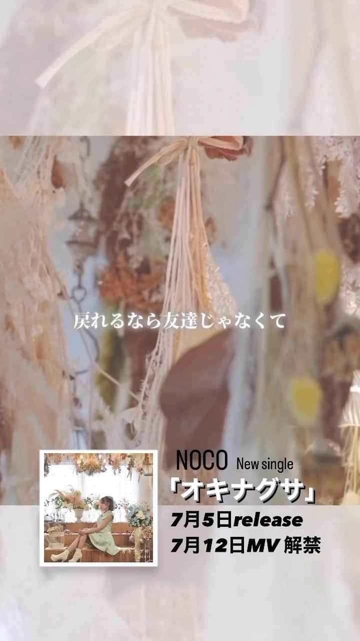 NOCOのインスタグラム：「NOCO New single 「オキナグサ」2023.07/06 release」
