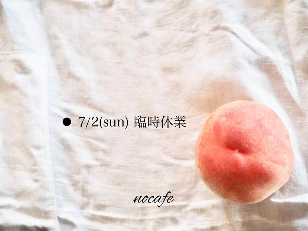 ノカフェのインスタグラム：「◉7/2(日)臨時休業◉都合によりアナログ、ノカフェ共におやすみいたします。 よろしくおねがいいたします。 ： 6/29(木)30(金)7/1(土)は通常営業しております！  ◾️本日の手作りデザート◾️ ◯まるっとピーチ ◯まるっとメロン ◯いちごのシートケーキ~とろーりﾁｮｺﾚｰﾄかけ~ ◯いちごのミルクレープ ◯2層のチーズ好きのチーズケーキ ◯ガトーショコラ  他にも各種デザート、パフェ、ドリンクご用意しております！ メニューすべて数量限定のため無くなり次第終了となります。予めご了承ください。 よろしくおねがいいたします。」