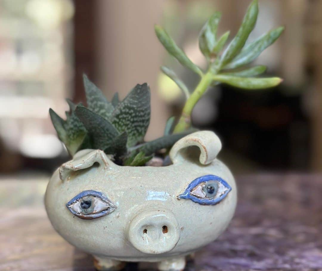ビジー・フィリップスさんのインスタグラム写真 - (ビジー・フィリップスInstagram)「ROUND 1 of Succulent Pigs are COMPLETE 🐽 a huge thank you to my amazing ceramics family at @greenwichhousepottery especially my wheel teacher Dustin aka @ceramicsandtheory who really encouraged me to lean into the pigs(and the owls and the Pigasuses) AND who helped me figure out how to throw pots even when i had long fake nails for #girls5eva 💗 These pigs all have good homes they’re off to but MORE SUCCULENT PIGS COMING SOON! 🐽❤️⭐️ And as always, a shoutout to my parents for sending me to college and paying for the semester i essentially dropped out because i was auditioning and then doing the pilot for Freaks and Geeks and the only class i got credit for was ceramics 101.」6月29日 22時42分 - busyphilipps