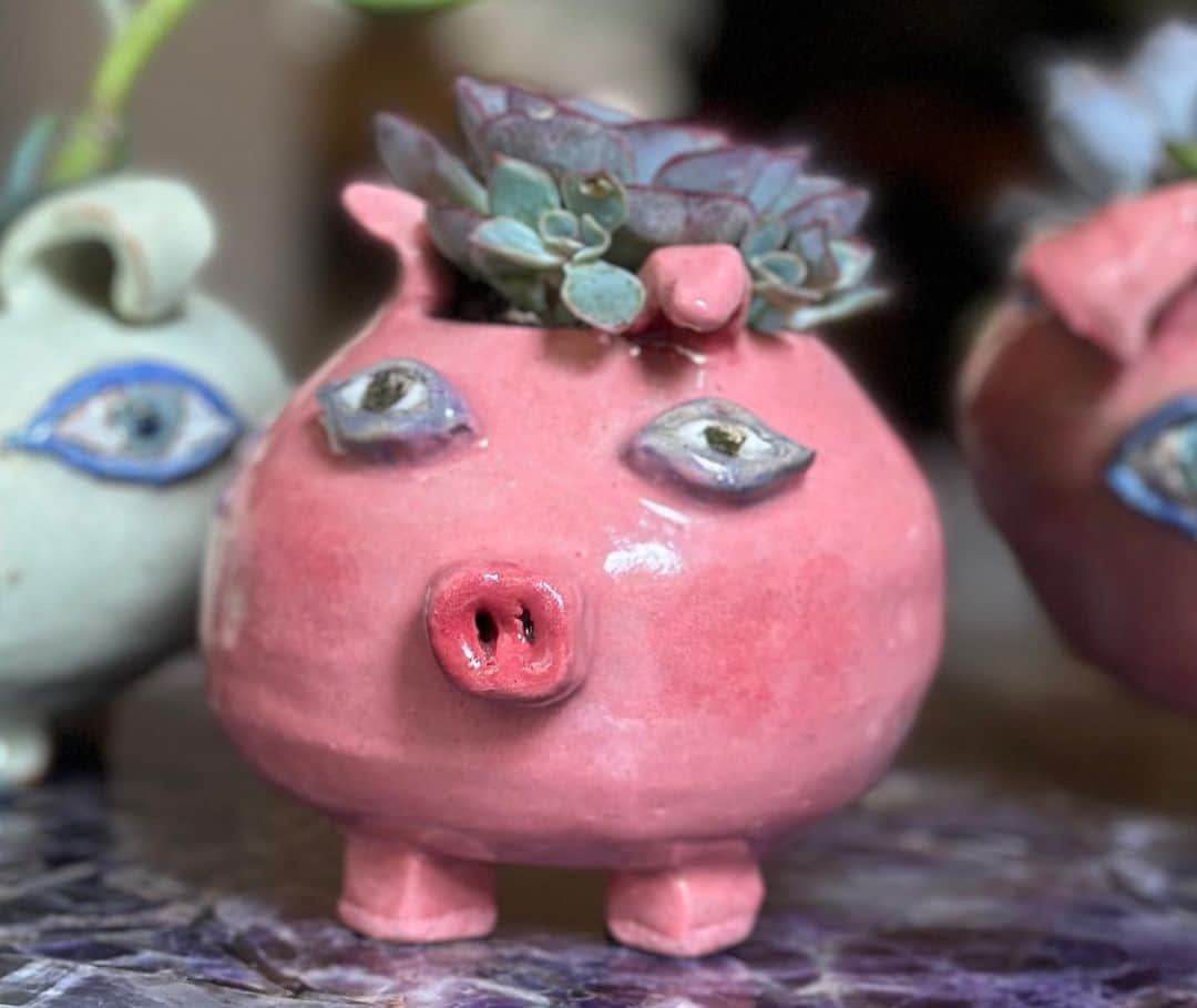 ビジー・フィリップスさんのインスタグラム写真 - (ビジー・フィリップスInstagram)「ROUND 1 of Succulent Pigs are COMPLETE 🐽 a huge thank you to my amazing ceramics family at @greenwichhousepottery especially my wheel teacher Dustin aka @ceramicsandtheory who really encouraged me to lean into the pigs(and the owls and the Pigasuses) AND who helped me figure out how to throw pots even when i had long fake nails for #girls5eva 💗 These pigs all have good homes they’re off to but MORE SUCCULENT PIGS COMING SOON! 🐽❤️⭐️ And as always, a shoutout to my parents for sending me to college and paying for the semester i essentially dropped out because i was auditioning and then doing the pilot for Freaks and Geeks and the only class i got credit for was ceramics 101.」6月29日 22時42分 - busyphilipps