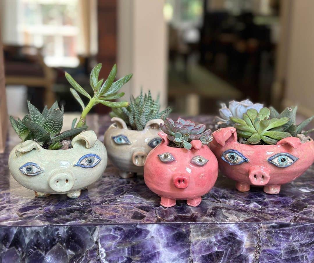 ビジー・フィリップスさんのインスタグラム写真 - (ビジー・フィリップスInstagram)「ROUND 1 of Succulent Pigs are COMPLETE 🐽 a huge thank you to my amazing ceramics family at @greenwichhousepottery especially my wheel teacher Dustin aka @ceramicsandtheory who really encouraged me to lean into the pigs(and the owls and the Pigasuses) AND who helped me figure out how to throw pots even when i had long fake nails for #girls5eva 💗 These pigs all have good homes they’re off to but MORE SUCCULENT PIGS COMING SOON! 🐽❤️⭐️ And as always, a shoutout to my parents for sending me to college and paying for the semester i essentially dropped out because i was auditioning and then doing the pilot for Freaks and Geeks and the only class i got credit for was ceramics 101.」6月29日 22時42分 - busyphilipps