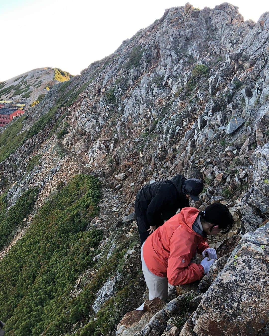 荒井愛花さんのインスタグラム写真 - (荒井愛花Instagram)「⛰2023.6/24-25 唐松岳  沁みる2日間。 最高でした☺️  #唐松岳 #北アルプス #登山」6月29日 22時57分 - maaanyaka