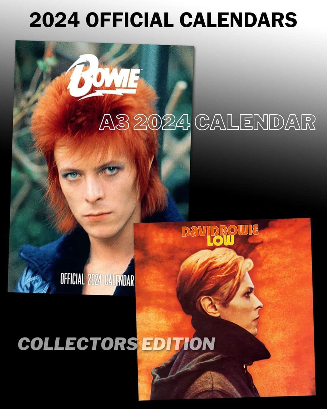 デヴィッド・ボウイさんのインスタグラム写真 - (デヴィッド・ボウイInstagram)「OFFICIAL 2024 BOWIE CALENDARS AVAILABLE FOR PRE-ORDER  “I keep a photograph, It burns my wall with time...“  Two Bowie calendars will be available to brighten your 2024 months. As is usual, there will be an A3 and a square album sized calendar.  The A3 calendar features classic images from throughout Bowie’s career, with a beautiful Mick Rock cover shot from 1972.  The square calendar is a Steve Schapiro special featuring photographs taken in 1975, including the cover image which was used for both Low and The Man Who Fell To Earth.  Available in the UK/EU, here’s the direct link: https://shop.davidbowie.com/2024-calendar (Linktree in bio)  #OfficialBowie2024Calendars #BowieCalendar」6月29日 23時28分 - davidbowie