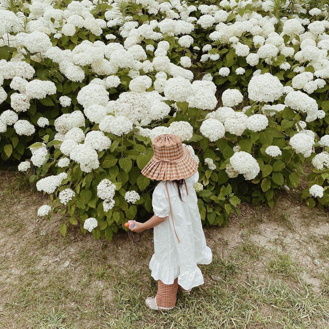 yuiのインスタグラム：「3years old daughter in the hydrangea garden.」