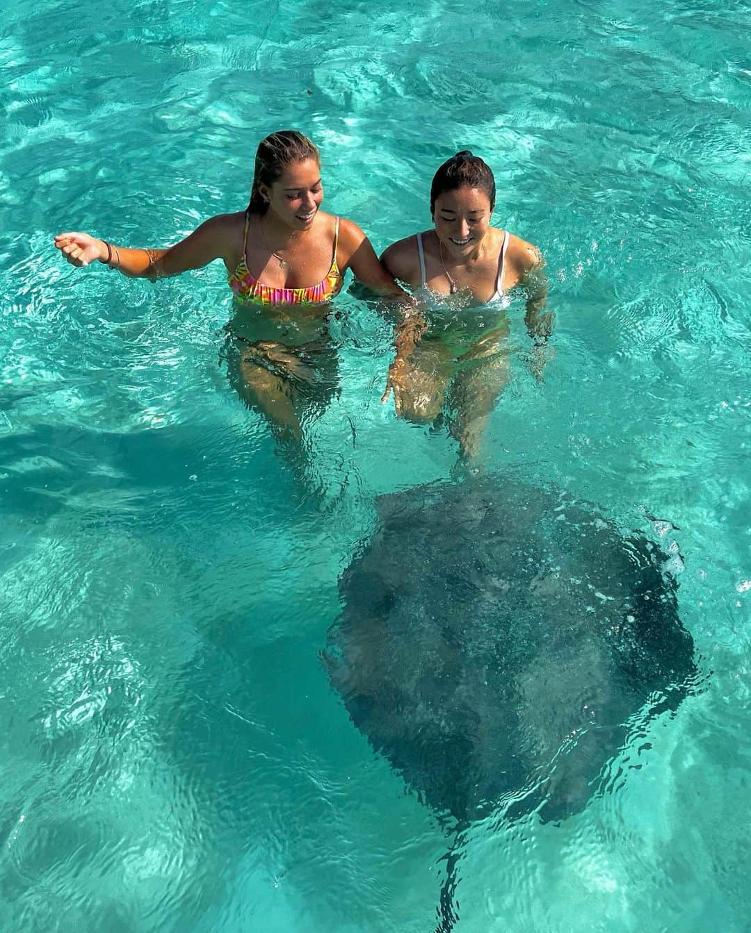 のインスタグラム：「Swam with stingrays and baby shark today🦈😳😍  Thank you @cedrictahiti @aelanvaast 🫶  #moorea #sobeautiful #tahiti」