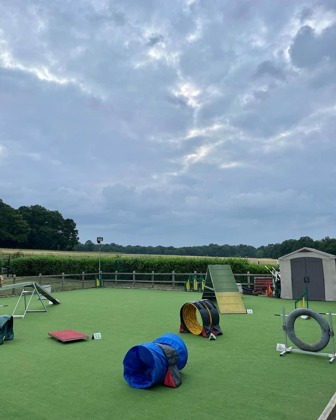 メラニー・サイクスさんのインスタグラム写真 - (メラニー・サイクスInstagram)「Good morning lovely people. ❤️   This was me and Porchie having fun last night at his agility class.   It's a challenge for me to be there for many reasons but the trainer Keith and his wife Lorraine, take good care of all the owners as well as the dogs, and the enviroment is full of laughter, support, encouragement and celebration . 🎉❤️💫  Porchie just wants to socialise with everyone and every pooch, so It forces me to do the same which takes a combination of deep breathing and pure hutzpah on my part because big dogs make me a bit nervous. The whole thing is actually hilarious, and the dogs are learning a lot.   It's brilliant all round. My puppy helps me so much.   @keiths_canines 🐾🙏🏻❤️💫🤸🏽‍♂️ you are the best 🐾🐶🏃🏻‍♀️  #puppytraining  #agility  #puppy  #corgi #socialisation  #countrylife #supportdog」6月29日 15時49分 - msmelaniesykes