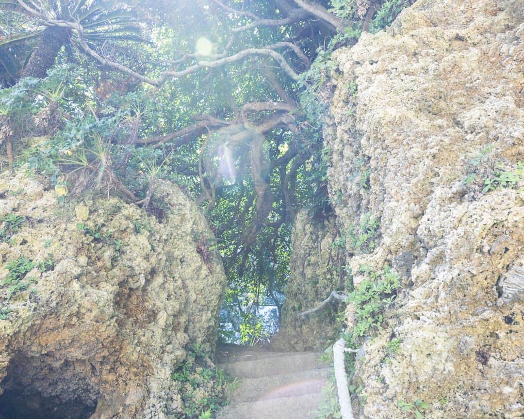 セソコマサユキさんのインスタグラム写真 - (セソコマサユキInstagram)「瀬底島のコントラスト。  #沖縄 #瀬底島」6月29日 16時28分 - sesokomasayuki
