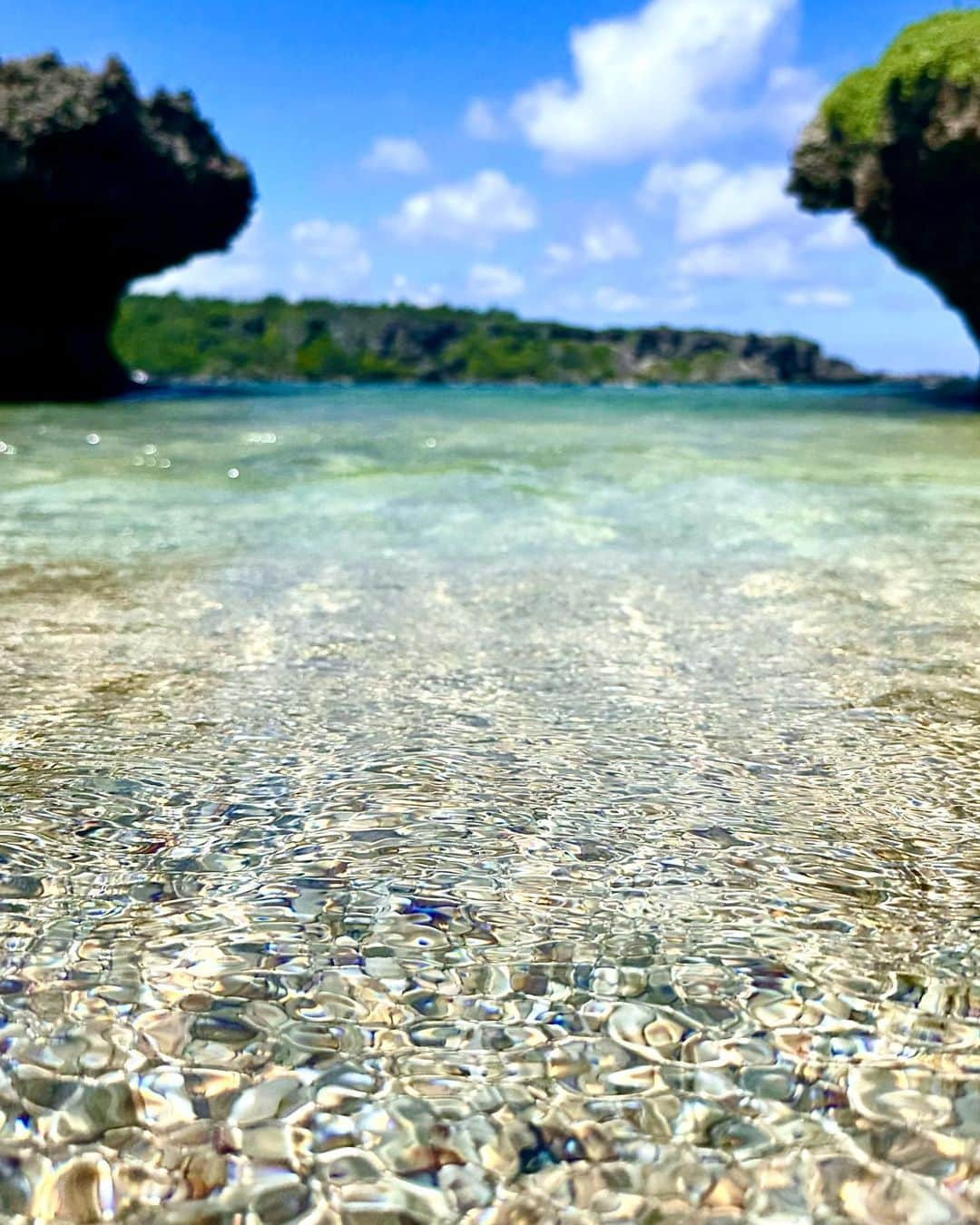 箕輪玖美さんのインスタグラム写真 - (箕輪玖美Instagram)「あまりにも暑いので、プールに入りにANAインターコンチネンタル万座へ⛱️ ・ ・ クラブラウンジはリュニューアルされていて、とても綺麗✨ アフタヌーンティー、カクテルタイム、朝食のサービス付きで至れり尽せり🥰 ・ ・ 沖縄の海って本当に美しい✨  夜はサプライズ花火も上がって、プチトリップ満喫😊  #anaインターコンチネンタル万座ビーチリゾート #クラブラウンジ #万座ビーチ #南国 #リゾート #旅ジョ #旅スタグラム #沖縄 #instatrip #okinawa #海が好き #太陽大好き #プール #夏到来 #アラフィフ女子 #箕輪玖美」6月29日 16時29分 - kumi.111