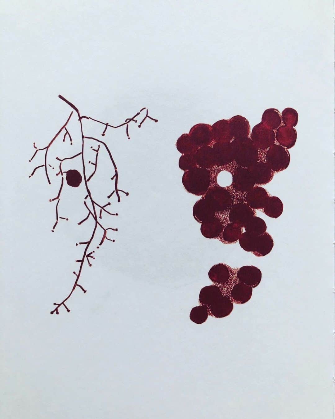 長田 佳子のインスタグラム：「昨年の今頃は、 塩川いづみさん @izumishiokawa  の出版記念イベントの準備をしていたと気がづいた今日。 (なんだか…今年の方が暑い気がする…) この季節、葡萄棚から可愛らしく下がる葡萄を見ると いづみさんのこの絵を思い出します。  foodremedies 春の動画レッスンをご受講くださいましたみなさま ありがとうございました。 そろそろ全ての方へタイニーボックスが届く頃かと思います。  小さなギフトは、 自然栽培のすももと梅に カルダモン、シナモン、ジンジャー、ナツメグなど色々なスパイスを加えたコンフィチュールです。　  日持ちを意識して作ってはいない為、 果実に対してお砂糖は大変適当でレシピもありません。。。 お肉やお野菜のソースに、 ソーダで割って、など お早めにお使いいただけましたら幸いです。  初夏のレッスンの募集もはじまりました🍑🍇 秋口にはまたすてきなレビューコースも考えています。 どうぞ宜しくお願い致します。」