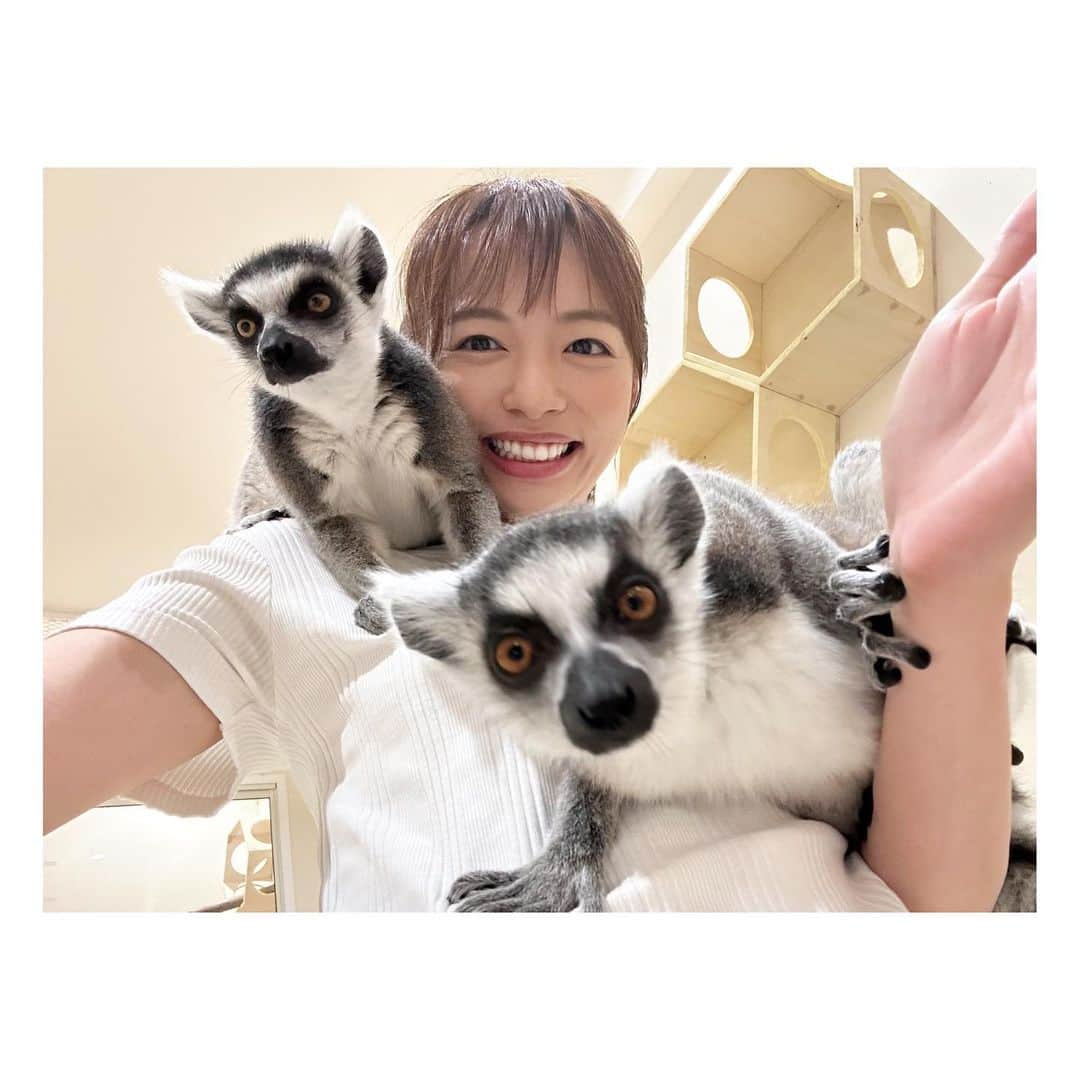 阿部芳美のインスタグラム