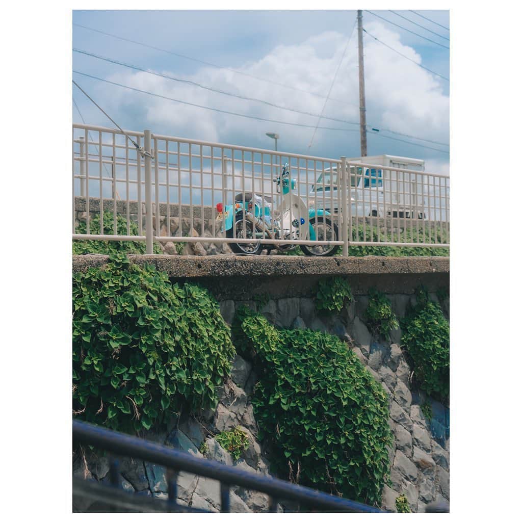 田村良太さんのインスタグラム写真 - (田村良太Instagram)「夏と青色の相性が良過ぎてつい撮っちゃう🌊 紫陽花で有名な明月院に現れたリスを添えて🐿️笑  #sonyalpha  #a7siii  #a74 #sony24105g」6月29日 17時29分 - billy.tamura