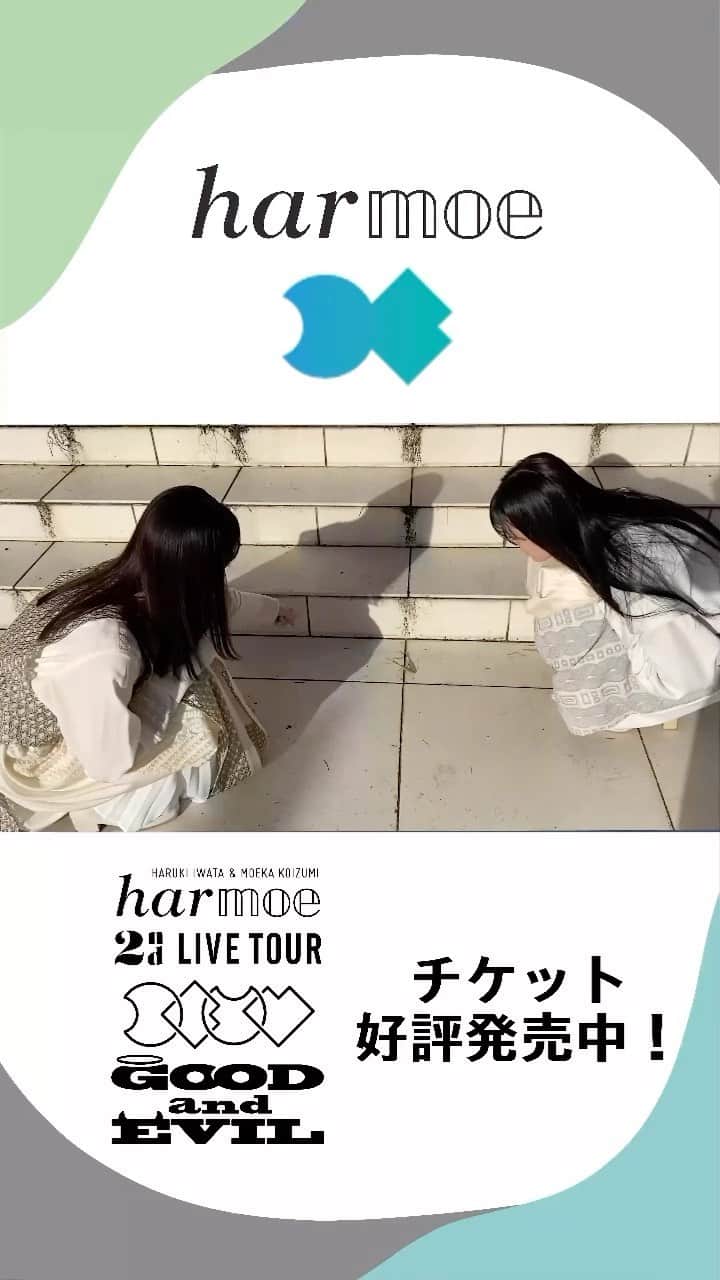 のインスタグラム：「・ 「Brilliant and bad」 MV撮影オフショットムービー公開👀 撮影途中に見つけたカマキリと じゃんけんをする岩田さん✊✌  #harmoe　2nd LIVE TOUR「GOOD and EVIL」 📍8/12(土)神奈川県民ホール 大ホール チケット好評発売中👿👼  #harmoe #岩田陽葵 #小泉萌香」