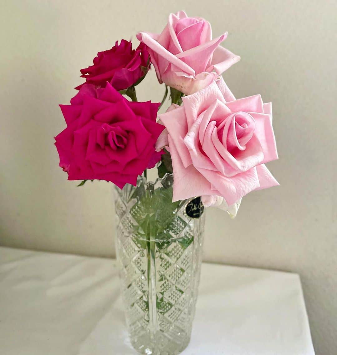 結城さなえさんのインスタグラム写真 - (結城さなえInstagram)「こんにちは、バラ子です🌹  6月の大雨大風で何度も蕾を落としてしまったバラ子さん。 苦難を乗り越えて、こんなに綺麗な二番花を咲かせてくれました〜。 し、しかも、ダブル開花ー！ バラ美さんも前回の投稿の後すぐに次の花も咲いてくれたので、花瓶にこんな素敵に飾ることができました〜👏🏻 いやー、感慨深いです。  もうすぐ父の新盆。 父も喜んでるかな🙏  #バラ子の成長日記  #バラ美の成長日記 #バラ子2の成長日記 #バラ　#挿し木 #薔薇 #バラ栽培  #バラの挿木 #赤いバラ　#ピンクのバラ #緑のある暮らし #花のある暮らし #観葉植物　  #花 #バラ子は姉の49日に供えられたバラの挿し木です　#202105 #バラ美は一周忌に供えられたバラの挿し木です #202203 #flowers  #rose #plants  #roselover #red #pink #2023 #green #interiorgreen」6月29日 18時20分 - yuukisanae
