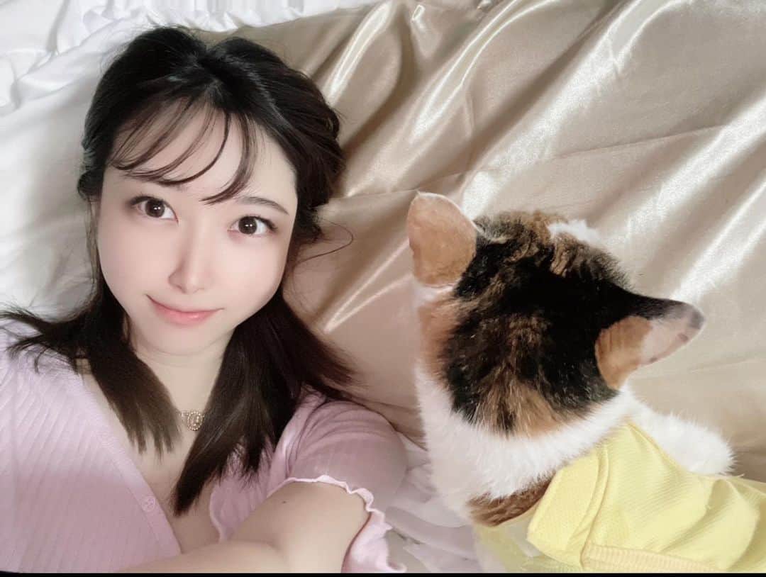 大崎菜々子のインスタグラム：「・ エアロシルク 枕カバー使ってみました✨️ 睡眠中の髪への負担が減って起きた時の髪のゴワゴワ感が少なくなりました😌  シルク85％ポリエステル15％のハイブリット素材なので手洗いでなく洗濯機・乾燥機での丸洗いOKなのも嬉しいです！  低価格でシルクを使用した枕を手に入れられるのでおすすめです☺️   #エアロシルク#シルク枕カバー #PR  ────────────────」