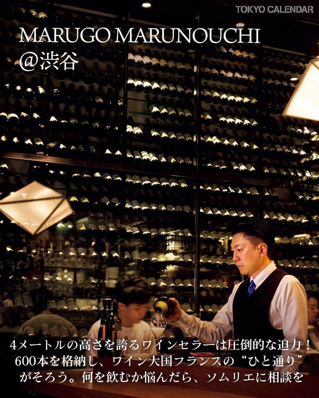 東京カレンダーさんのインスタグラム写真 - (東京カレンダーInstagram)「美食を楽しむならワインは欠かせないエッセンス。  にも関わらず、セレクトを人任せにしていませんか？  意思を持ってワイン選びができてこそ、より密度の高い夜が過ごせるというもの。  今回はワインを愛する大人が向かうべき注目の4軒をピックアップ！  その1 カフェらしいラフな雰囲気でイマドキなワインにどっぷり浸る 【Cafe Bleu】 エリア：神泉 📌渋谷区円山町23-9 平井ビル1F  その2 王道の〝ひと通り〟を飲み尽くせる圧巻のセラーは間違いない 【MARUGO MARUNOUCHI】 エリア：丸の内 📌千代田区丸の内2-6-1  その3 活気ある炭火焼きカウンターでナチュラルワインに溺れゆく 【falò】 エリア：代官山 📌渋谷区代官山町14-10 LUZ代官山 B1F  その４ いいワインこそスタンディングでさらりと飲むのが大人の贅沢 【bar & enoteca implicito】 エリア：広尾 📌渋谷区東4-6-3  ▷ お店が気になったら【保存】をタップ👆 ▷ 予約するなら【#グルカレ  レストラン名】で検索🔎 ……………………………………………………… ▶都会の大人向けライフスタイルを毎日発信中 @tokyocalendar  #東京カレンダー #Tokyocalendar #東カレ  #東京グルメ #CafeBleu #神泉　#神泉グルメ #MARUGOMARUNOUCHI　#丸の内　#丸の内グルメ #falò  #代官山　#代官山グルメ #barandenotecaimplicito #広尾 #広尾グルメ #東京ワイン #ワインおすすめ #ワイン好き #ビストロ #炭火焼き #バー」6月29日 19時09分 - tokyocalendar