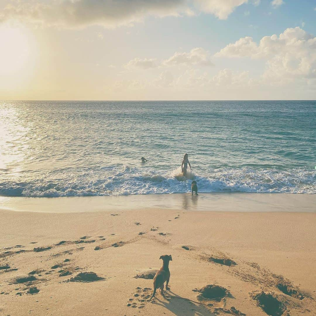 山崎美弥子さんのインスタグラム写真 - (山崎美弥子Instagram)「Every Life is Beautiful  どんな人生も美しい。  #island #surf #ocean #horizon #pacific #doodle #wave #art #artist #lifestyle #lifeisbeautiful」6月29日 19時11分 - miyakoyamazaki