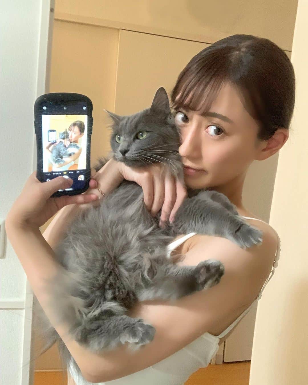 照井和希のインスタグラム：「Baby girl 🩶🐈‍⬛  @kazuki_animal_rescue   #ねこすたぐらむ #ねこ #保護猫 #野良猫だって幸せになれる #cats #catsofinstagram #catstagram #野良猫から家猫へ」