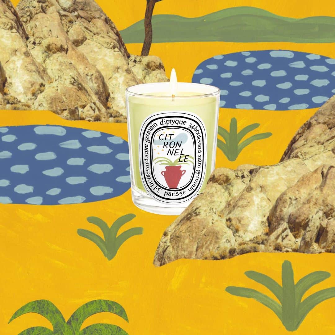 ディプティックのインスタグラム：「Daring mosquitoes… …dread it, stubborn mosquitoes skirt it. Without a word, the Citronnelle candle, with essences of lemongrass and geranium, shows them the way out. And away they go. #diptyque #diptyquesummercollection #classiccandle #candles #scentedcandles」