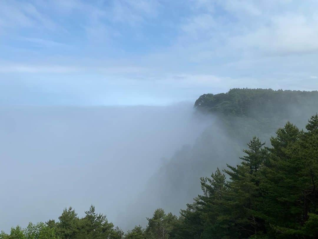 後藤萌咲さんのインスタグラム写真 - (後藤萌咲Instagram)「.  岩手旅行の投稿！  今回は、自然についての投稿です！  三陸の自然にたくさん触れてきました。 ジオパークにも登録されている場所を いくつか紹介します🙆🏻‍♀️  ⭐️浄土ヶ浜  夏頃にオホーツクからの北の冷たい風が、 ちょうど三陸の海岸にぶつかり、 霧のように白くなる現象を、やませというのですが、  朝方にシートピアなぁどさんの海沿いを見ていて、 本当に不思議な現象だなぁと。  海の音も聴きながら、 うみねこ丸に乗るまで30分くらい見ていました😌  そして、うみねこ丸に乗り、浄土ヶ浜へ。  映画とかで見るような、 白い岩肌のような3つの岩山が特徴なのですが、 何故このようなものができたのかと言うと、  すごく省略して分かりやすくいうと、 火山岩が海の波によって削られてできた岩です。  ものすごく簡単に説明したので、 詳しくこの浄土ヶ浜について気になる方は、 皆さんの目で確かめてみてください🙌🏻  うみねこ丸に乗ってみると、 『日出島』という小さな島があったり、 岩と岩の間から波が押しあがって出てくる『潮吹穴』 高さ40メートル以上の巨大な細長い『ローソク岩』を、 見ることができます👀  ⭐️龍泉洞  ここはもう人生で1度は絶対に行って欲しい場所です！！！  写真とか文章じゃ本当に伝わらないので、 絶対に自分の目で見て欲しい洞窟です。  洞窟といっても、ただの洞窟じゃなくて、 日本三大鍾乳洞の1つとしても知られています。  現在もまだ調査中で、 さらにまだ奥が深いことも、 目で見て分かります。  水が本当に澄んでて生き物も住めないくらいの透明度で、 でも、青く第1地底湖~第3地底湖まであるのですが、 人間の五感の感覚も本当に鈍るような迫力です。  気がついたら地上より深くまで進んでいて、 こんな鍾乳洞が、自然でできたんだって思うけど、 人間の力じゃとても作れない深さです。  何度もインディージョーンズの映画に出てきそうな、 場所がいっぱいありました。笑  上を見ても下を見ても、 不思議で自然ってこんなに凄いんだと、 自分の悩んでることが小さく感じるくらい、 不思議な感覚になる場所です。  絶対にもう1回みにいきます。  ⭐️北山崎  サスペンスドラマに出てきそうな20メートル以上の、 岩肌が見える場所があるのですが…。  タイミングが本当に良いのか、 物凄いやませが押し寄せていて、 海すらも見えないくらいのやませがありました。笑  ここまではなかなかないって言われました😳  でも、天国のような雲と雲の間に挟まれたような感覚で、 やませは陸に向かって吹いていくのですが、 陸に上がると暖かくなるためやませは自然と消えます。  次は、やませがないバージョンも見てみたい…😂  ⭐️三王岩  三王岩というのは、 およそ1億年以上前の白亜紀の地層からできた岩で、 男岩、女岩、太鼓岩という、 3つの岩のことです。  下の部分は礫岩、上の部分は砂岩って、 目で見ても分かる岩の地層で、 これも不思議な感覚にさせられます。  そして、三王岩の周りにある岩も、 波で自然と積み上がった岩があったり、 3.11の東日本大震災の津波で推定200トンの岩が、 約30メートル動いた岩も見ることが出来ます。  そして、もう1つ自然の力を思い知ったのは、 『田老の一本松』  陸前高田市にある『奇跡の一本松』は、 皆さん聞いたことあると思います。  津波によって約7万本以上の松が倒れる中、 1本だけ真っ直ぐに津波に耐えた一本松。  『奇跡の一本松』今は枯死してしまい、 レプリカがあります 北山崎の『田老の一本松』は今でも生きている松の木です。  海の潮によって、 少し赤くなってしまったりしていますが、 津波の影響を耐え真っ直ぐに伸びているこの松も、 すごくパワーをもらえるような松でした。  長々と語ってしまいましたが、 岩手県の歴史についてお話しました🙌🏻  次は、歴史についてです💭   #岩手   #浄土ヶ浜   #北山崎   #龍泉洞   #三王岩」6月29日 20時10分 - moe_goto0520