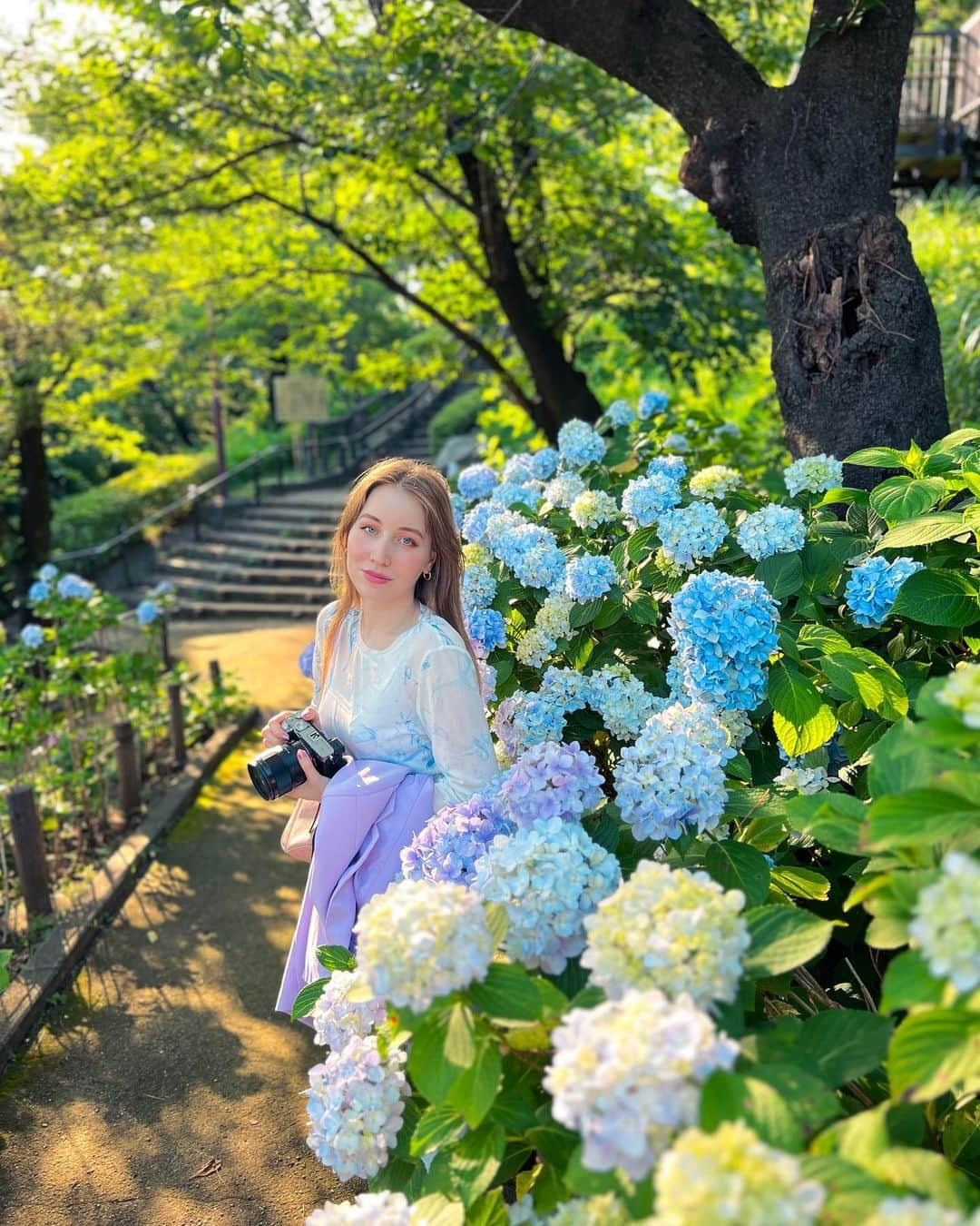 アシヤのインスタグラム：「今年の紫陽花の🩵」