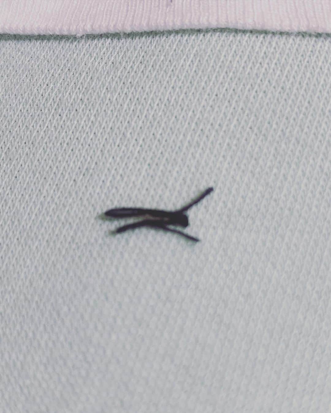 鳥木弥生さんのインスタグラム写真 - (鳥木弥生Instagram)「あれ？もう1匹いる？？ て、思って近付いたら糸くずだった。 #puma」6月29日 20時49分 - yayoitoriki