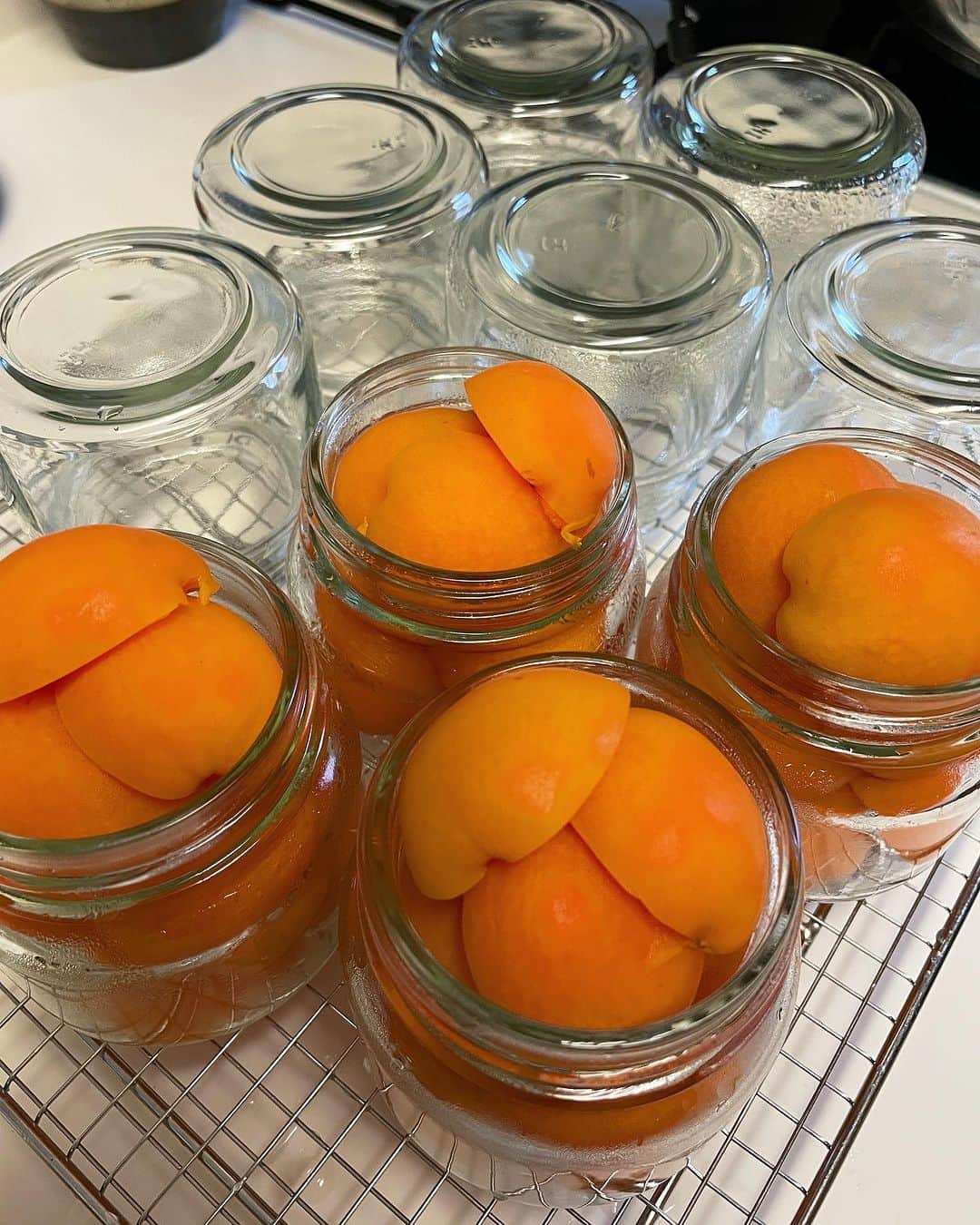 maiさんのインスタグラム写真 - (maiInstagram)「2023年6月29日  🎶杏のシロップ漬け🎶  今年は皆さんの杏仕事を 先にたくさん見せていただき もうお腹いっぱい‼︎ なんてなりつつも 私も作りましたよ😊  作業中は蛍光灯だから 変な色してるけど、 加熱した杏たちはそれは美しい 橙色、、いや、杏色になりますよ🟠  今年はMサイズ。 そもそもこの大きさでしたね、 本に掲載のレシピは。 別にLでも構いませんが、 この瓶にはMサイズが 丁度良い😊🟠🟠 お菓子作りにも使いやすい。  一瓶に6個分の杏が きっちりと収納されてます☺️ 詰め込む作業が好き。 12片の杏がモリッと収まると きもちいのよ☺️  ってことー💁‍♀️ 🤣🤣  #杏仕事 #季節をとじ込める果物とお菓子のレッスン  #杏のシロップ漬け  #お菓子教室 #信山丸 #ミルガトー」6月29日 20時51分 - michoumama