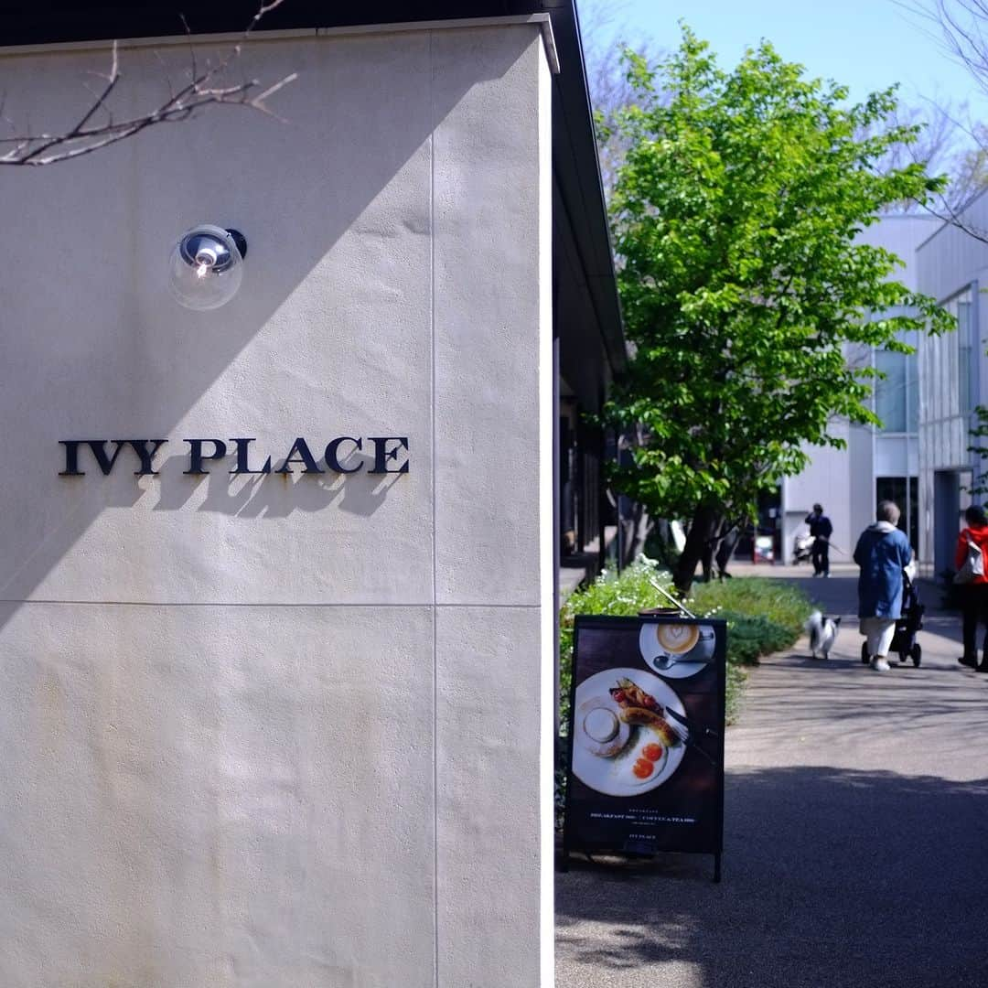 TYSONS&COMPANYさんのインスタグラム写真 - (TYSONS&COMPANYInstagram)「. 【IVY PLACE】 ランチから営業するIVY PLACEのダイニングエリアは窓に囲まれていて、自然光の差し込む時間は、室内にいながらもまるで森の中にいるかのような居心地の良い空間。  IVY PLACEでは今週末から、様々な唐辛子や香辛料を使用した暑い時期に食べたいスパイシーなメニューが登場予定。 気になるメニューは後日ご紹介します！  #代官山ランチ #アイヴィープレイス  #ワイン #一軒家レストラン #代官山TSITE  #タイソンズアンドカンパニー #代官山ディナー  #ivyplace #daikanyamarestaurant #daikanyamadinner #daikanyamalunch  #tysonsandcompany」6月29日 21時00分 - tysonsandcompany