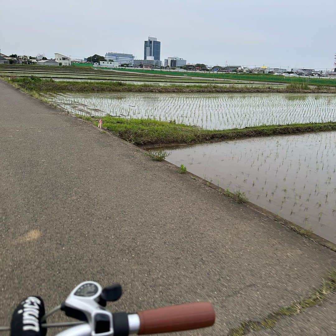 浦郷絵梨佳さんのインスタグラム写真 - (浦郷絵梨佳Instagram)「明日で6月が終わる、と言うことは2023年上半期も終了💭  年々早く感じるのは歳なのか、精一杯生きている証拠なのか。。。  私の2023年上半期はとっても濃く、乗り越えなくてはいけないことの連続で精神的にキツかったな〜🫠 話を聞いてくれる友達に救われて上半期終えることが出来ました🥹感謝🙏  ゲッターズ飯田様もここから積極的に行動する事でいい流れがくると仰ってあられるので、 下半期は新しい道へ踏み出して進んで行こうと思います😎🤌  ところで夏はまだこれからのはずなのに、既にこんがり焼けてきているのだけど、、、大丈夫なのか🥲？笑  #グッバイ #june #さよなら #上半期 の私」6月29日 21時11分 - urago.erika