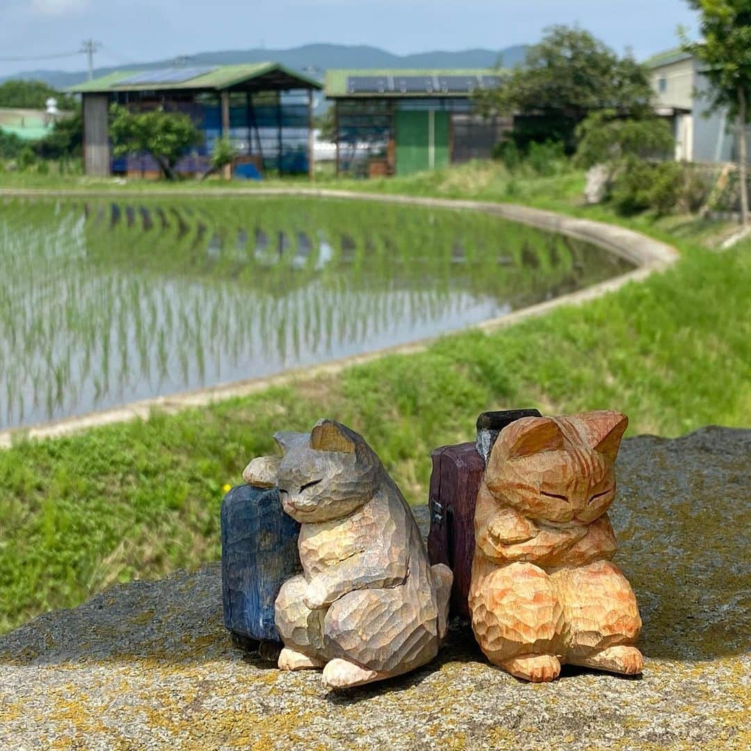 花房さくらさんのインスタグラム写真 - (花房さくらInstagram)「「バスあと何分で来る？」 「40分後みたい」 「これだから田舎は･･･」 「でもそれも旅の楽しみよ」  #猫は時として旅をする  #cat #sculpture #hanafusasakura」6月29日 21時18分 - sakura_hanafusa