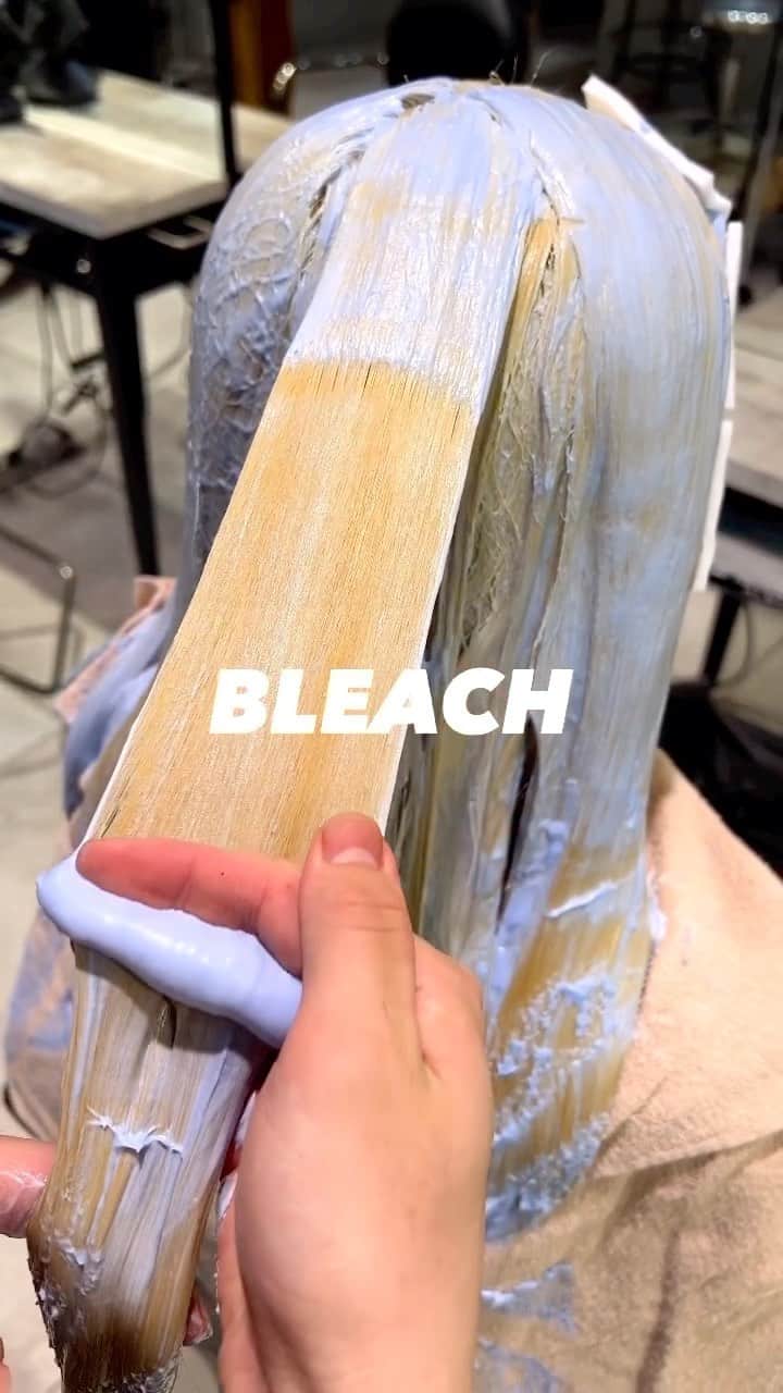 のインスタグラム：「✔style by @natsuki_nisimura 【 #ALBUM動画_ヘアカラー 】 ↑別パターンはこちら↑  - - - - - - - - - - - - - - -  Bleach work.  夏に向けてハイトーン増えてきてます‼︎ 周りと差をつけるデザインは僕にお任せください❤️‍🔥  - - - - - - - - - - - - - - -  こちらのスタイルは 渋谷店の西村 夏輝（ @natsuki_nisimura ） が担当いたしました！  何かご不明点がございましたら お気軽にコメントください。 担当スタイリストからも コメントいたします！  - - - - - - - - - - - - - - -  cut ¥2,900~ cut + color ¥4,800~ cut + double color ¥14,800~ etc... ※店舗により料金が異なります。  - - - - - - - - - - - - - - -  《求人募集》 ALBUMでは店舗拡大のため 随時スタッフを募集しております！  「トレンドヘアーを、毎月通える価格で提供。」が コンセプトのサロンです。 めまぐるしく変化する 世の中のトレンドを素早くキャッチし、 誰にでも手の届くお手ごろなプライスで 毎月通えるサロンを目指しております。  《業務内容》 ①正社員スタイリスト ②業務委託スタイリスト ③中途アシスタント  《応募方法》 ALBUM公式Instagram TOPページに 記載されております URLからご応募くださいませ。 www.album-hair.com/recruit  - - - - - - - - - - - - - - -  【お問い合わせ先】 ALBUM OFFICE TEL / ‪03-6712-5547‬ FAX / ‪03-6712-5548‬ MAIL / info@album-hair.com  ALBUM（ @album_hair ）  #カラー #ヘアカラー #似合わせカラー #トレンドカラー #髪色 #ブリーチ #ブリーチカラー #ケアブリーチ #ダブルカラー #デザインカラー #ハイトーン #ハイトーンヘア #ハイトーンカラー #ハイトーンカラーブリーチ #ハイトーン女子 #透明感カラー #シアカラー #ペールトーンカラー #春カラー #夏カラー #渋谷美容室 #渋谷美容師 #bleach #blonde #染髮 #染髮推薦 #염색 #헤어컬러링 #สีผม」