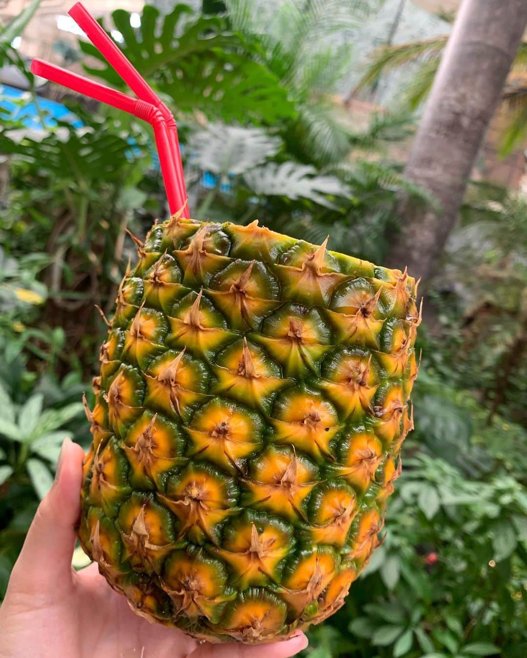 本山なみのインスタグラム：「一気に飲み干した 今日からクーラー生活突入🫠  #pineapplejuice」