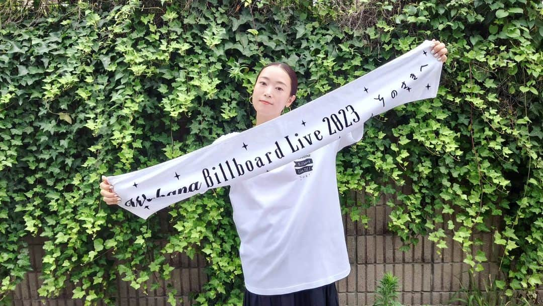 Wakanaのインスタグラム：「「Wakana Billboard Live 2023〜そのさきへ〜」のグッズ紹介、その④‼️ラストです‼️🥳🎉  お久しぶりのマフラータオルです🧣 こういう細身のタオル、夏は特に重宝しますよね🤭 もけもけしてないので毛羽立たず嵩張らない！さらっと肩に掛けられる！ もちろんタオルハンガーに掛けてもスンっとした出で立ちで出しゃばりません！😎(“Wakana”を見せるか“そのさきへ”を見せるかの2択です)  今年も既に暑い夏到来中なので、是非このマフラータオルと一緒に乗り切りましょう🌟  全4種のグッズ、じっくり見てみてくださいね〜🤗✨👕📱🦈🧣 wakana-fc.jp/contents/648412  #WakanaBillboardLive2023そのさきへ #7月6日ビルボードライブ横浜 #7月20日ビルボードライブ大阪 #マフラータオル 🧣」