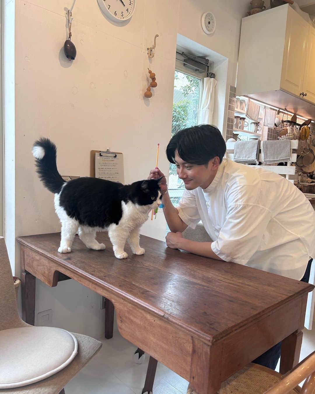 松浦司のインスタグラム：「今日の気温めっちゃ暑かったね〜 マジ熱中症に気をつけてくださいね！ 水とか塩分をこまめに。  そして最近の報告、舞台が一旦落ち着いて、ヒプステの卒業報告だったり、自分の事をゆっくりダラダラしてました！いい時間を満喫中、10月1日に大切な報告もあるし色々と動いていくからみんな頼んだよ！  あとなんか最近 めっちゃ猫好きになってきたかもやな〜 なんかツンツンしてるのが逆にいい感じ。  まぁでも犬が好きやけどね‼︎  最近の司、報告でしたー  thank you  #猫 #Cats #カフェ」