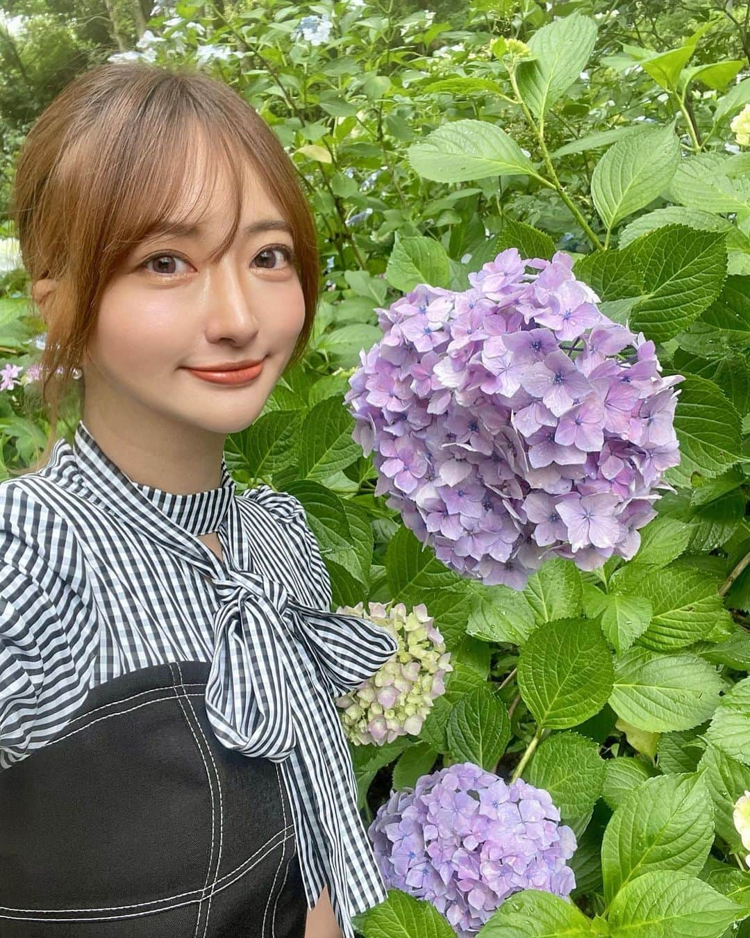 羽田優里奈のインスタグラム：「. . 先週のLIVEニュース神戸・宝塚は、 川西市の「頼光寺」から中継でした✨  およそ500株の紫陽花が咲いていて、 ＂あじさい寺＂と呼ばれています💠  能勢電鉄の高架下の小さいトンネルを潜り抜けると 紫陽花が咲き乱れた 別世界のお寺でハッとする！ 青々と苔むした石段も、しっとりした雰囲気も、、 千と千尋の世界の入り口やん！て思った！  とくにお気に入りの紫陽花は、 ５枚目の＂カシワバ アジサイ＂ 葉っぱが 柏の葉🍃に似てるからだそう。 花の形もフリフリで可憐。可愛かった〜！！  7月上旬ごろまでが見頃だそうです☔️  . . . . . . . . . #紫陽花 #あじさい寺 #カシワバアジサイ #季節の花  #能勢電鉄 #関西 #兵庫県 #頼光寺 #あじさい #花 #6月  #神社仏閣巡り #お寺 #寺社巡り #中継 #アジサイ  #LIVEニュース #キャスター  #アナウンサー #リポーター #flower #hydrangea #japan #hyogo #大輪の紫陽花」