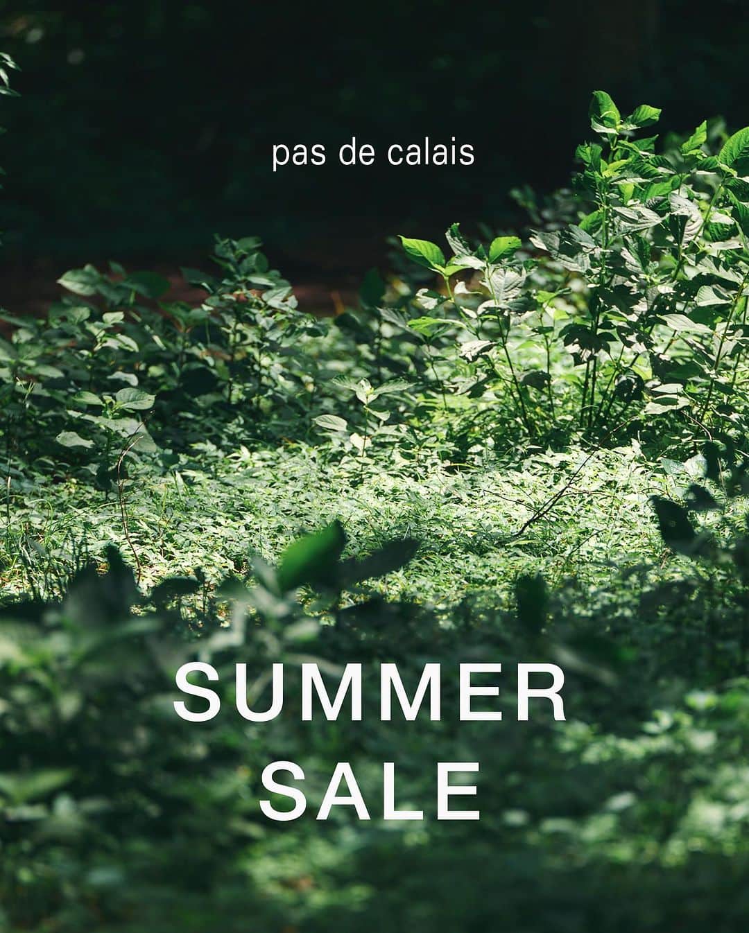 pas de calais -パドカレ-さんのインスタグラム写真 - (pas de calais -パドカレ-Instagram)「•  pas de calais  SUMMER SALE！！  #pasdecalais  #pasdecalais_offical_jp  #パドカレ #summersale」6月30日 8時55分 - pasdecalais_official_jp