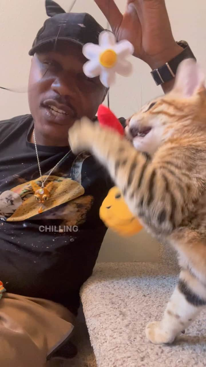 MSHO™(The Cat Rapper) のインスタグラム