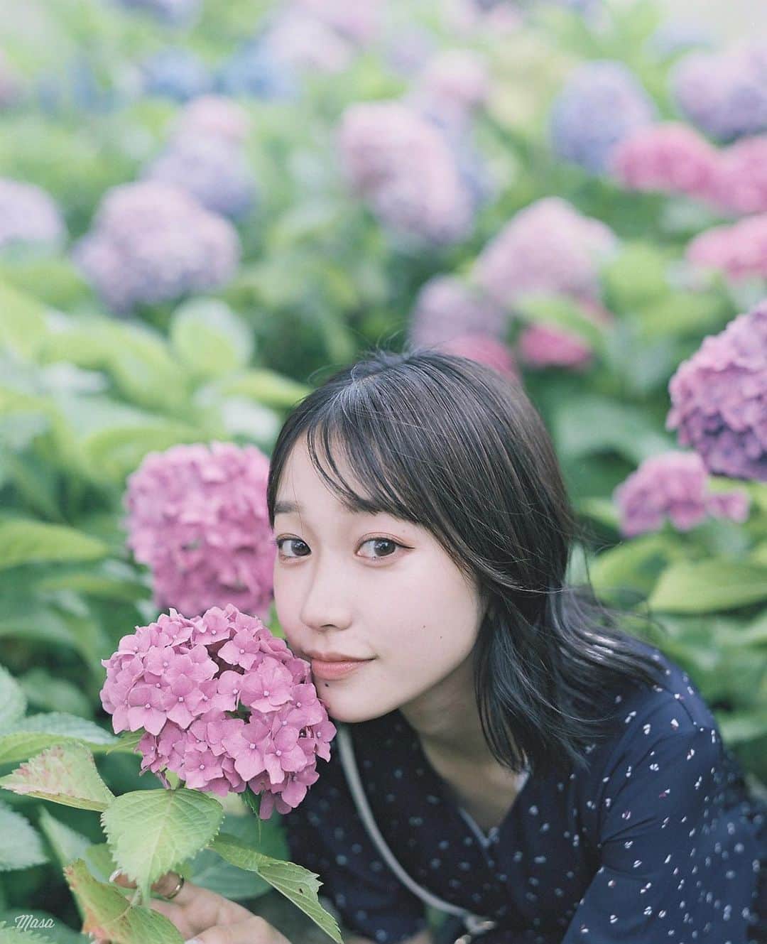 Masaのインスタグラム：「.  ▶︎▶︎▶︎ Swipe  All：Pentax6x7  Super Takumar 105mm F2.4 #PRO400H  最近、寄りが増えてきた気がする。 本当はどこか分かるぐらいの距離感が好きです。  2枚目の「てまりてまり」半分で色が変わってるのが多くてかわいい☺️  しかしバケの描写🥰  撮影日 : 2023年6月21日  #まさペン#エビプリ #pentax6x7 #pentax67 #バケペン #中判フィルム #film #filmcamera #filmphotography #フィルム #フィルムカメラ#フィルム写真 #igersjp #portrait #ポートレート #fujifilm #filmisnotdead #滋賀 #shiga #紫陽花 #芦刈園 #もりやま芦刈園 #hydrangea」