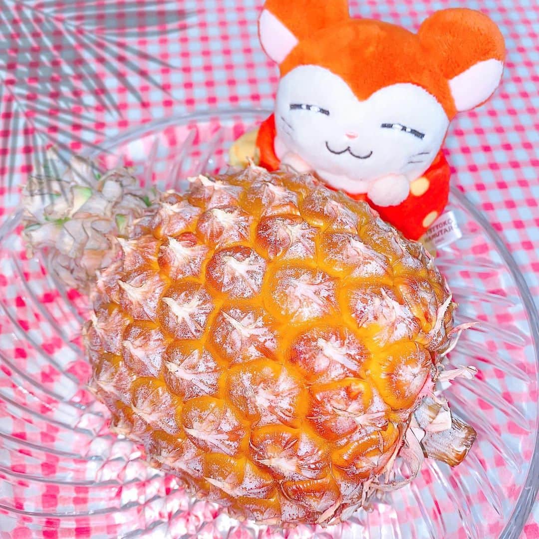 のインスタグラム：「台湾パイン🍍手でちぎって食べれるの楽しすぎた💛芯まで食べれる」