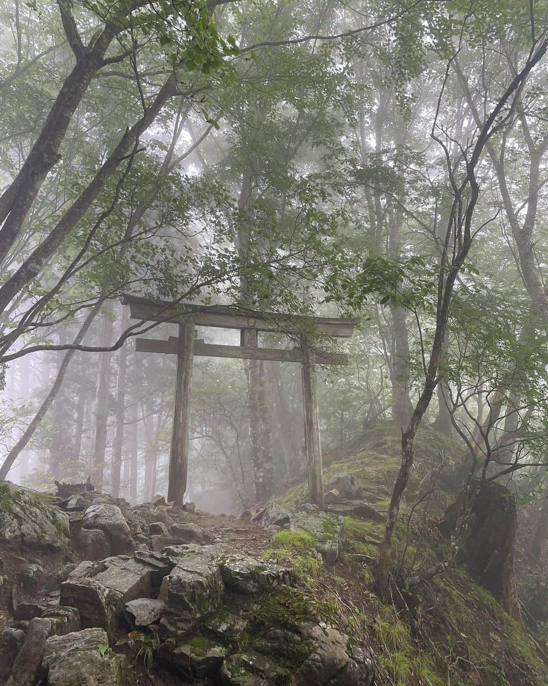 蒼れいなさんのインスタグラム写真 - (蒼れいなInstagram)「念願の三峯神社⛩  私は天国に来たんじゃないかと思った😇  こんな場所って東京から少しのところにあるんだなんて全然知らなかった！  ゼロ磁場と聞いていたけど、圧倒されるくらいにクリアでニュートラルで時間すら存在しないんじゃないかと感じた場所。  ぽかーんとしてもうた。  あそこいると疲れないよとも聞いてたんだけど、謎にほんとに疲れを感じないしさ  お蕎麦屋のおじさんが霧がかかる午前中から登るのがいいんだよって教えてくれた👍  慣れない早起きした甲斐があった🥹  #三峯神社 #ゼロ磁場 #秩父」6月30日 0時27分 - reina_aoi_official