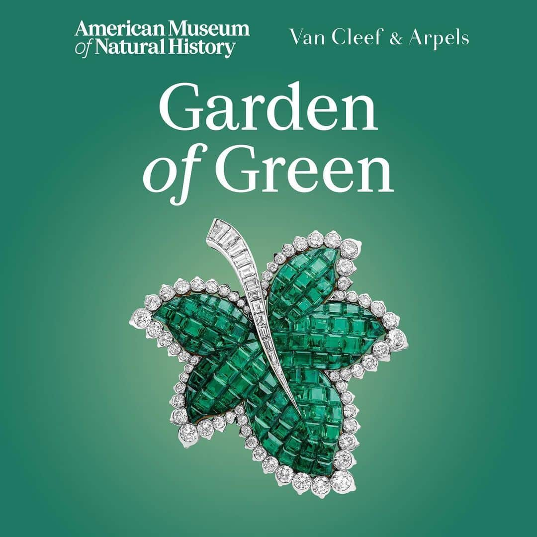 ヴァンクリーフ&アーペルさんのインスタグラム写真 - (ヴァンクリーフ&アーペルInstagram)「"Garden of Green: Exquisite Jewelry from the Collection of Van Cleef & Arpels" is open at the American Museum of Natural History. The exhibition includes 44 pieces, 32 of which will be on display for the first time in the U.S, featuring green gemstones, including jade, peridot, malachite, and others.   #VCAGardenofGreen #VCAexhibition #AmericanMuseumofNaturalHistory #AMNH @amnh」6月30日 0時59分 - vancleefarpels