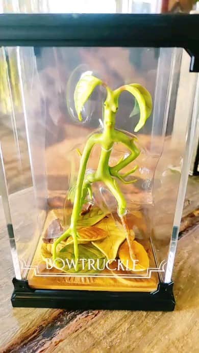 ダニエル・ラドクリフ（ファンアカウント）のインスタグラム：「You can get your official Bowtruckle sculpture from @houseofspells  ➡️ Use discount code DANIEL10 for 10% off your order.」
