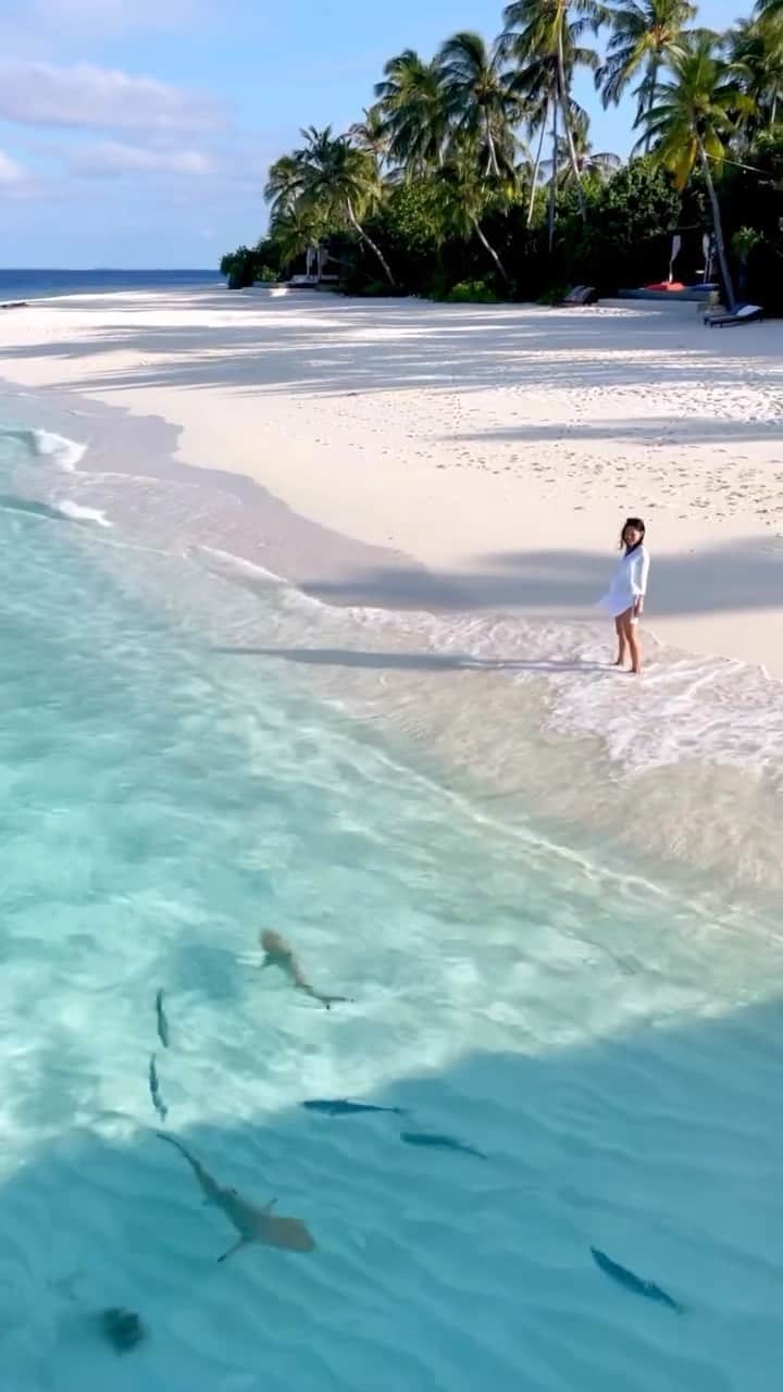Maldivesのインスタグラム