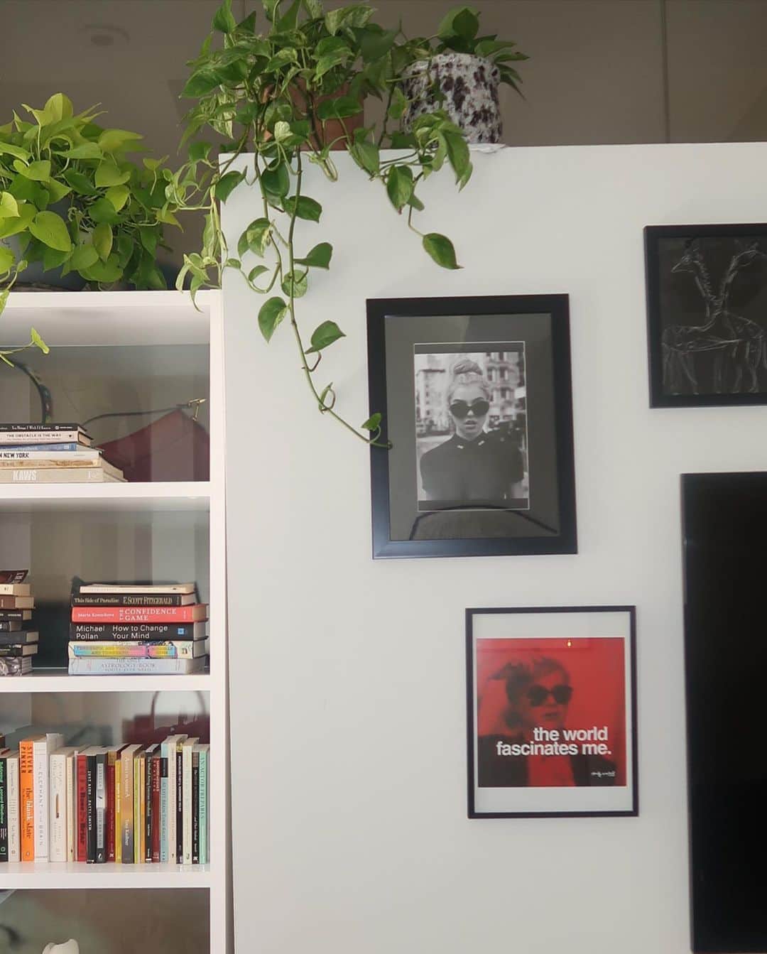 レイチェル・ヒルバートさんのインスタグラム写真 - (レイチェル・ヒルバートInstagram)「A little snippet into my new NYC home. I wanted this space to be a sanctuary, completely resembles me and my personality. An art lady, a bath lady, a plant lady, a book lady… and a few more. I have never hung any of my work through out my career so I thought I would switch it up and frame some work that I have done. 🗽」6月30日 2時15分 - rachelhilbert
