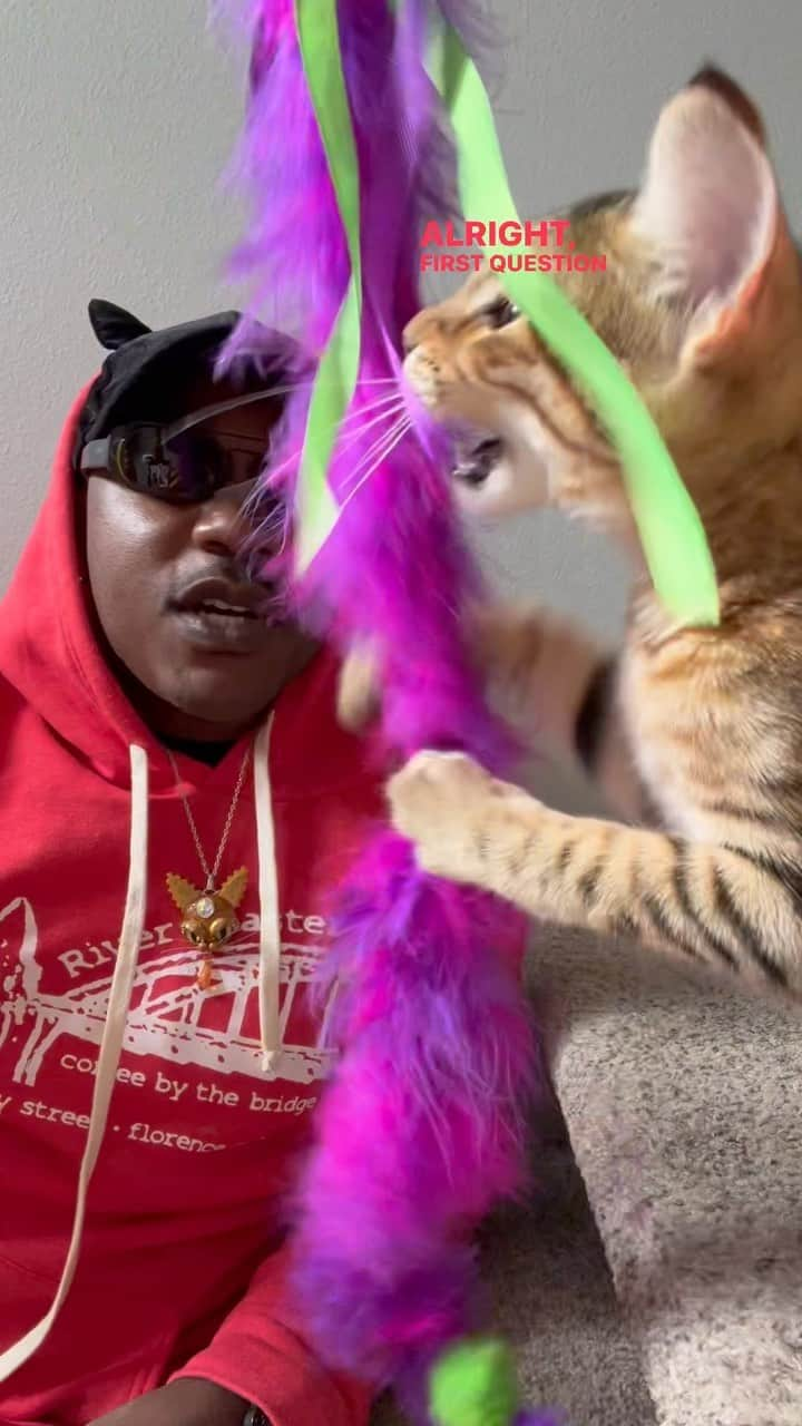 MSHO™(The Cat Rapper) のインスタグラム：「Welcome to the 1st episode of QUESTIONS WITH Crab Cakes!!!  1. What’s your favorite Color? 2. Would you rather fly or teleport? 3. Where is your favorite place to relax or go on vacation? Please comment below and let us know if you want the next EPISODE!!!! ❤️ #TheCatRapper #CrabCakes #QuestionsWithCrabCakes #CatMan #CatDad #CatMom #MoGang」