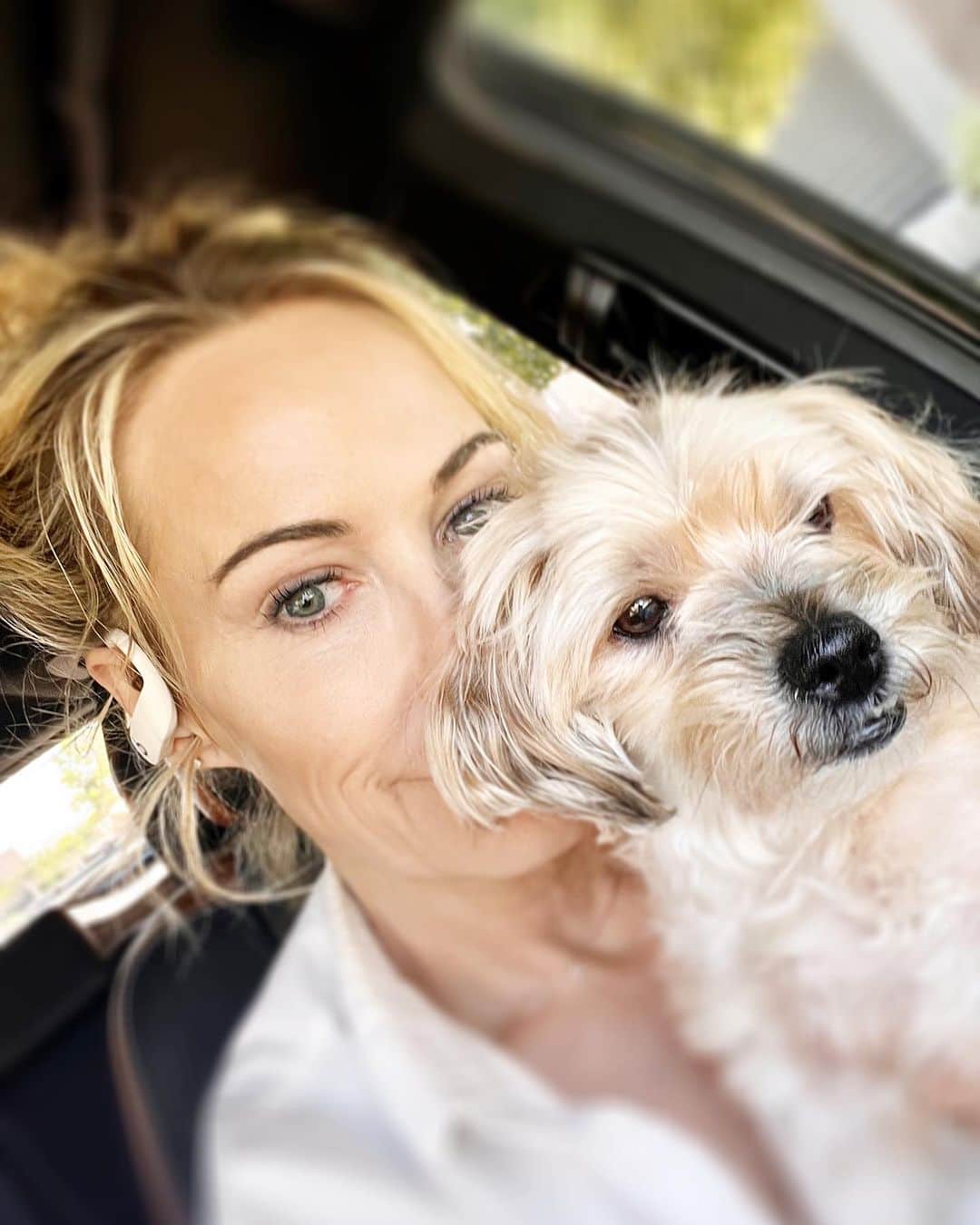 ジョシー・ビセットのインスタグラム：「My little guy keeps on keepin’ on ❤️🙏」