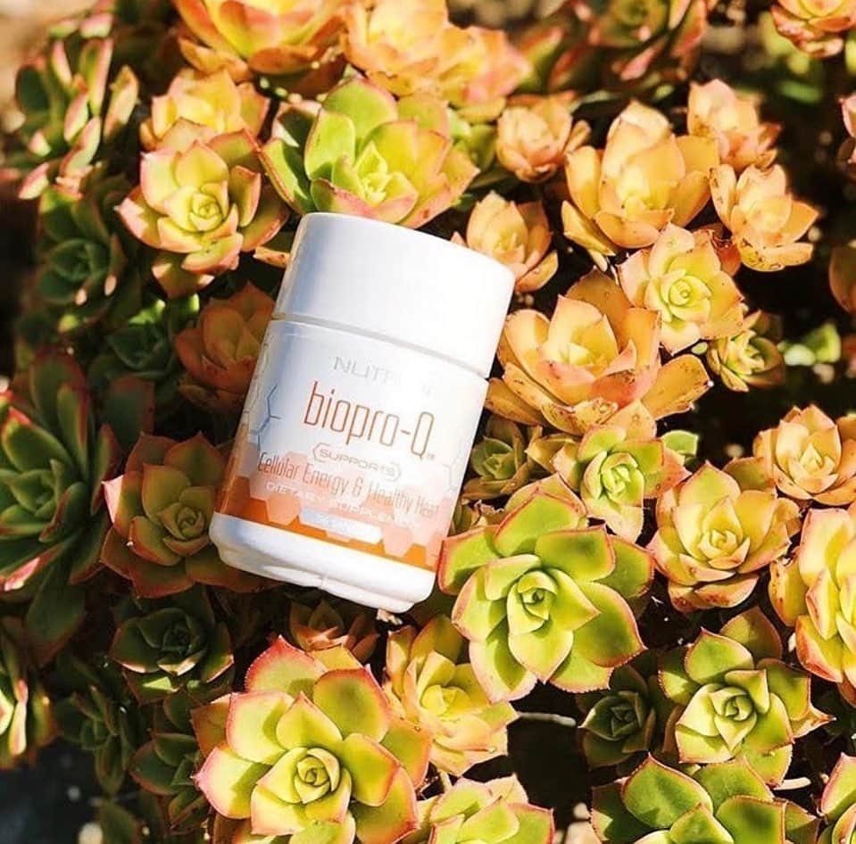 ARIIX Officialさんのインスタグラム写真 - (ARIIX OfficialInstagram)「#BioproQ is a dynamic fusion of Ubiquinol, the most potent form of coenzyme Q10 (CoQ10), and BioPerine, a patented black pepper extract.⁠ ⁠ But what's in it for you? Let's talk BENEFITS! ⁠ ✨Boosts youthful cellular energy production⁠ ✨Enhances bioavailability for optimal nutrient absorption⁠ ⁠ Get all the details at the link in our bio. ⁠ ⁠ #PartnerCo #Nutrifii #coq10」6月30日 3時38分 - partnercoglobal